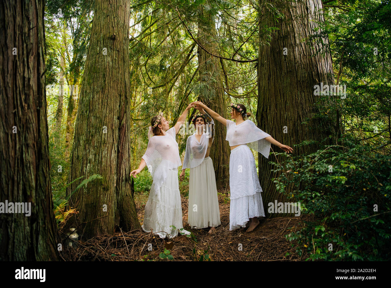 Tres mujeres de ninfas en el bosque, Bainbridge Island, Washington, EE.UU. Foto de stock