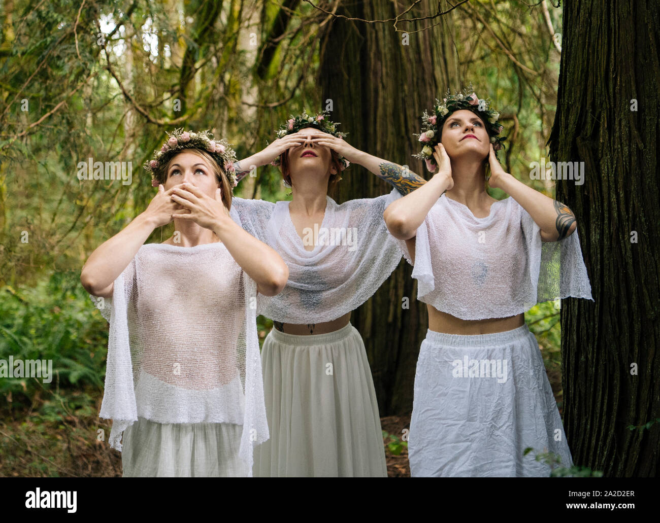 Tres mujeres de ninfas en el bosque, Bainbridge Island, Washington, EE.UU. Foto de stock