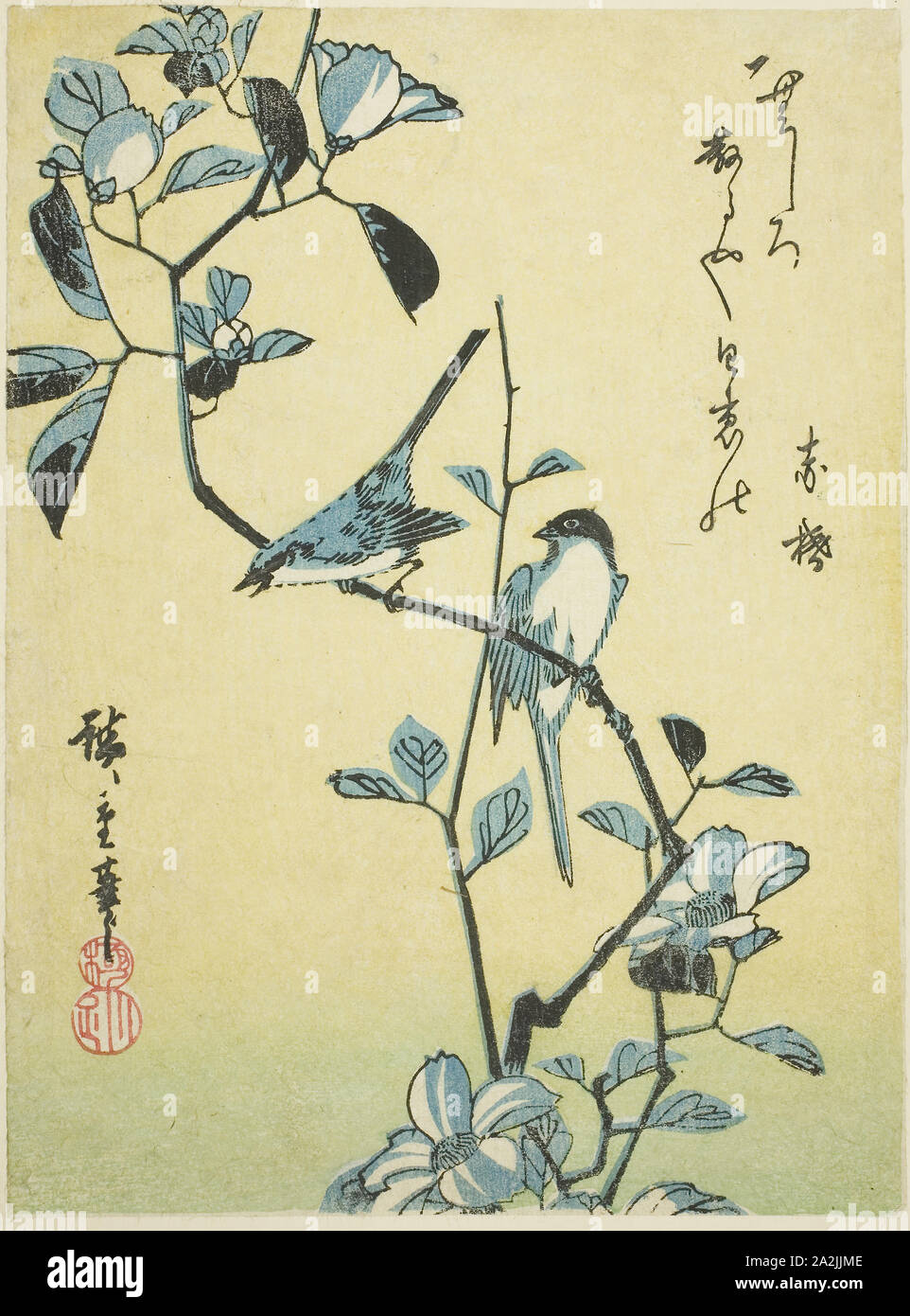 Las aves en la camelia, sucursal 1830s, Utagawa Hiroshige 歌川 広重, Japonés, 1797-1858, Japón, grabado en madera de color, chuban, 22,8 x 17 cm (9 x 6 5/8 pulg. Foto de stock
