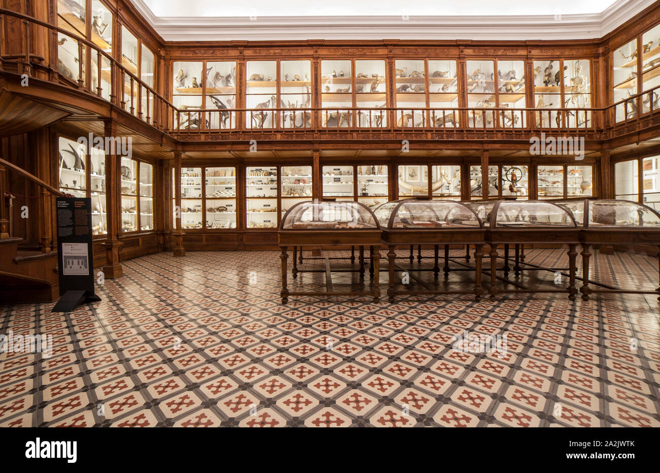 Coimbra, Portugal - Septiembre 6 de 2019: el Museo de la ciencia de la Universidad de Coimbra. Recreación de armarios Vandelli Foto de stock