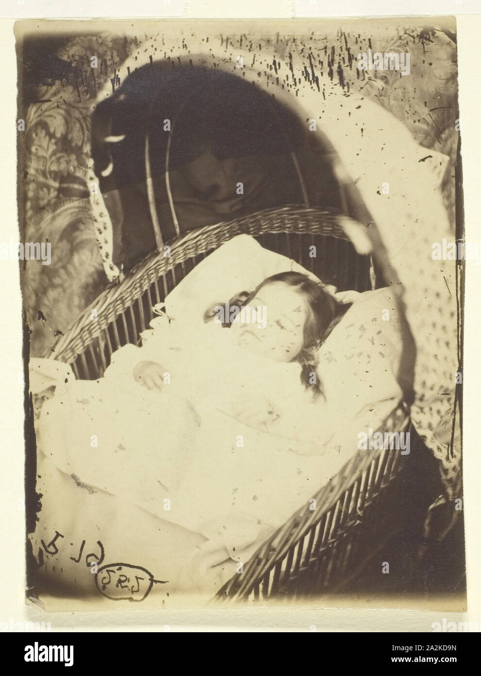 Untitled (posiblemente Alice Gertrude Langton Clarke) de 1864, Lewis Carroll (Charles Lutwidge Dodgson), inglés, 1832-1898, Inglaterra, albúmina, impresión de 10,3 × 7,8 cm (imagen), 10,7 × 7,9 cm (papel Foto de stock
