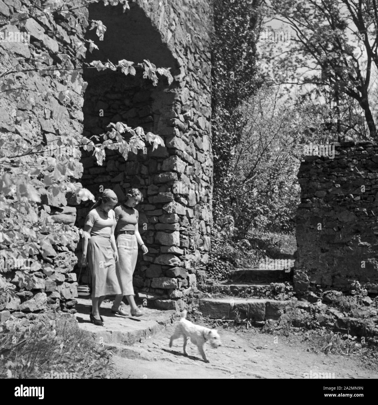 Zwei Frauen mit dem Hund spazieren gehen, Deutschland 1930er Jahre. Dos mujeres pasear al perro, Alemania 1930. Foto de stock