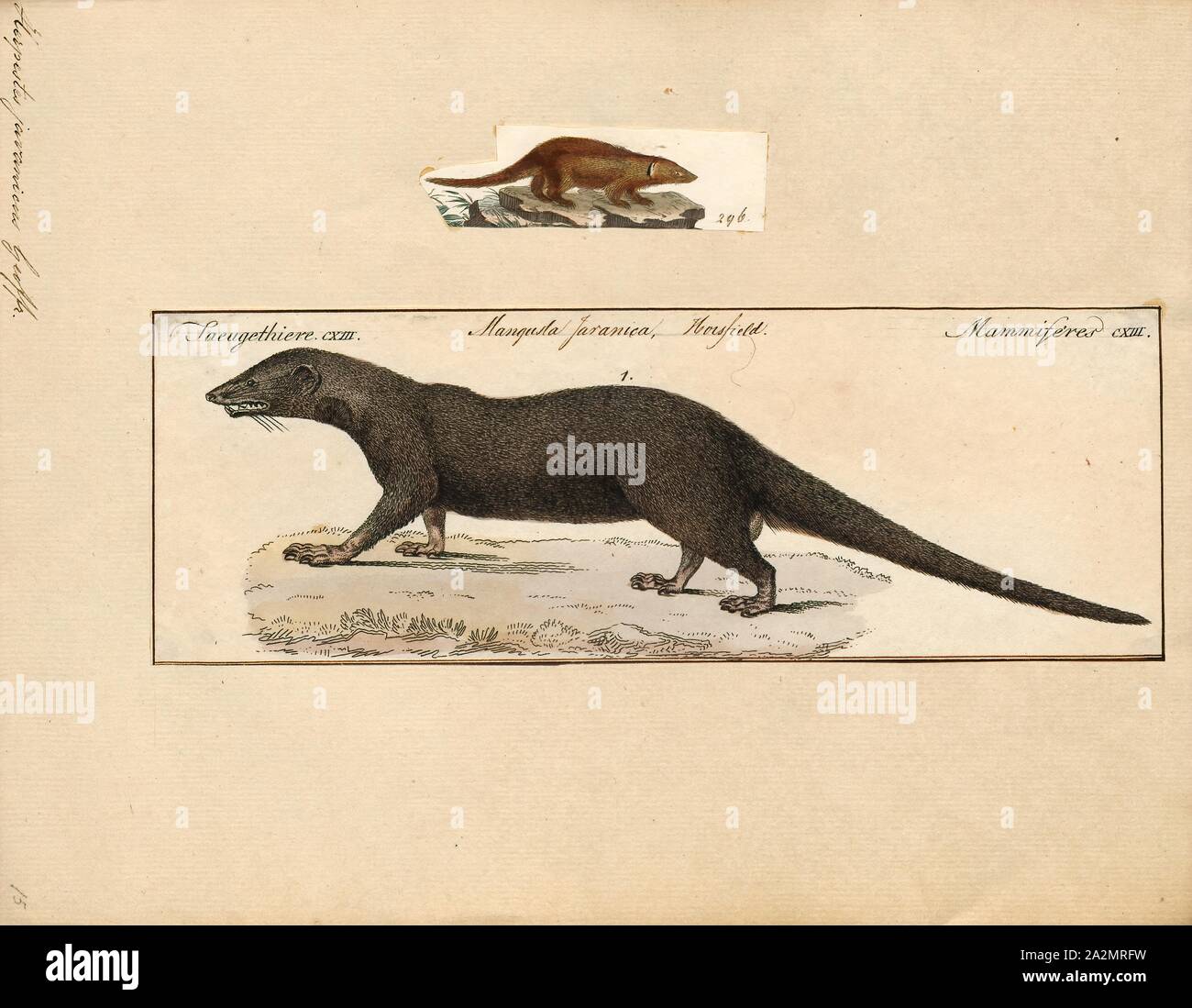 Puerto rico belice fotografías e imágenes de alta resolución Alamy