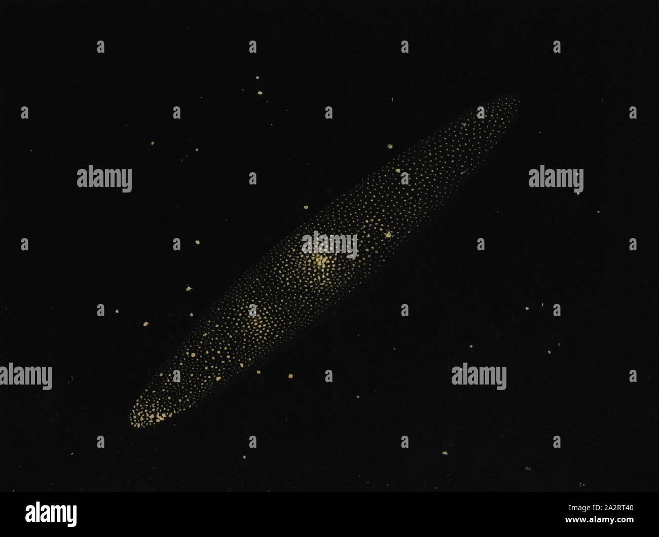 La Nebulosa de Andrómeda, la niebla de la Constelación de Andrómeda, no. LXXXIV, a partir de la pág. 92, 1842 Charles F. Blunt: La belleza de los cielos: una visualización pictográfica de los fenómenos astronómicos del universo. Cien y cuatro escenas de color ilustrando una conferencia familiar en la astronomía. Londres: Inclinación y Bogue, 1842 Foto de stock