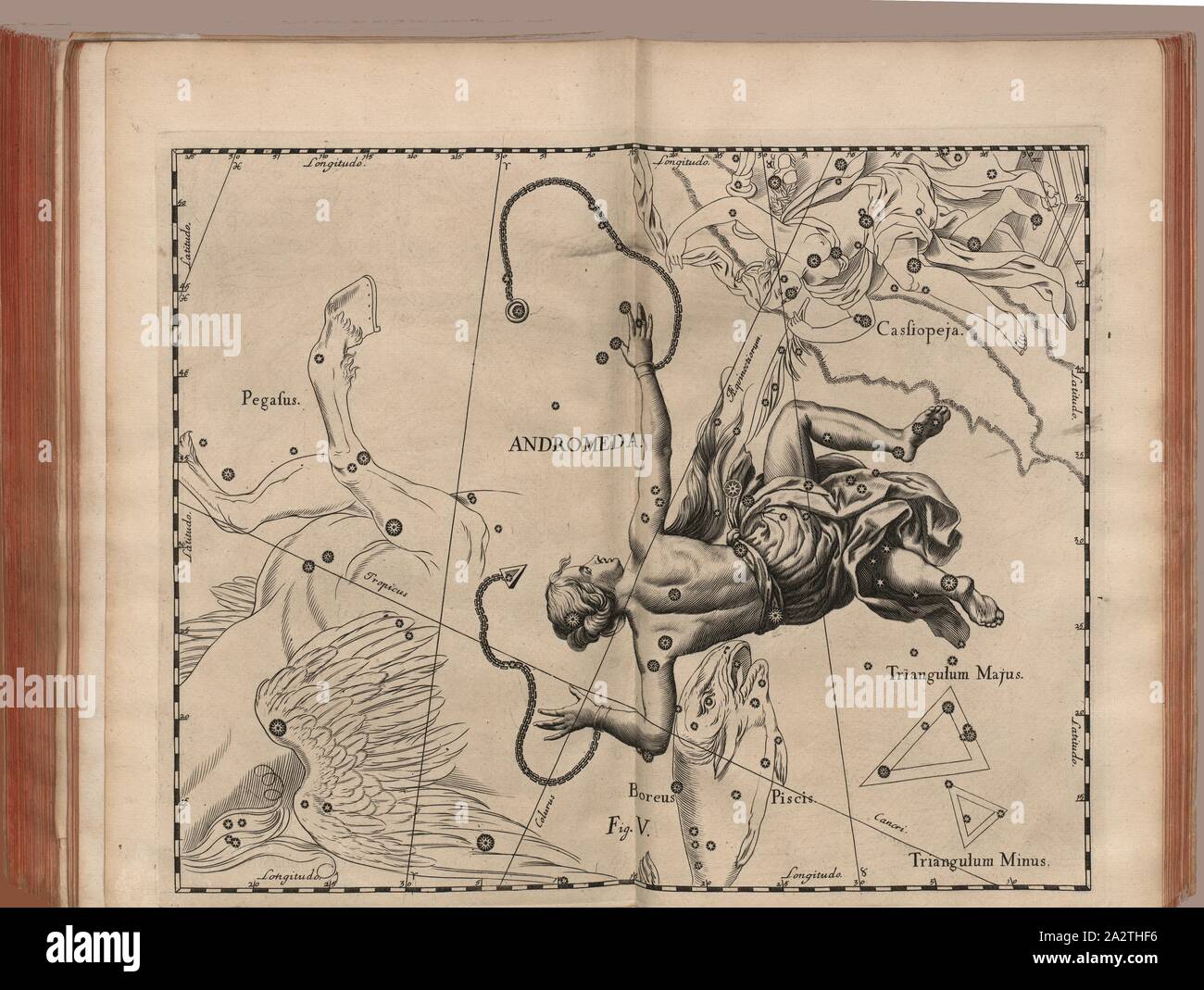 Andromeda, Ilustración de la constelación Andromeda desde el siglo XVII, fig. V, pág. 21, 1690), Johannes Hevelius, Johann Ernst von Schmieden: Johannis, exhibens Hevelii prodromus astronomiae fundamenta, quae tam ad novum planè & correctiorem stellarum fixarum catalogum construendeum, quàm ad onmium planetarum tabulas corrigendas omnimodè spectant; nec no novas & correctiores tabulas solares, plurimas aliasque ad astronomiam pertinentes [...]. Gedani: typis Johannis-Zachariae Stollii, 1690 Foto de stock