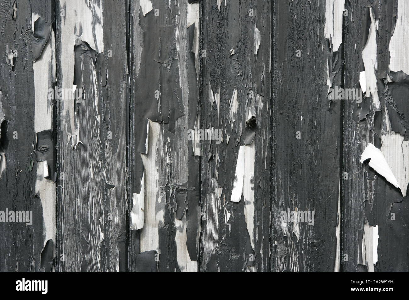 Viejo tiempo gastado exterior puerta de madera con la pintura descarapelada Foto de stock
