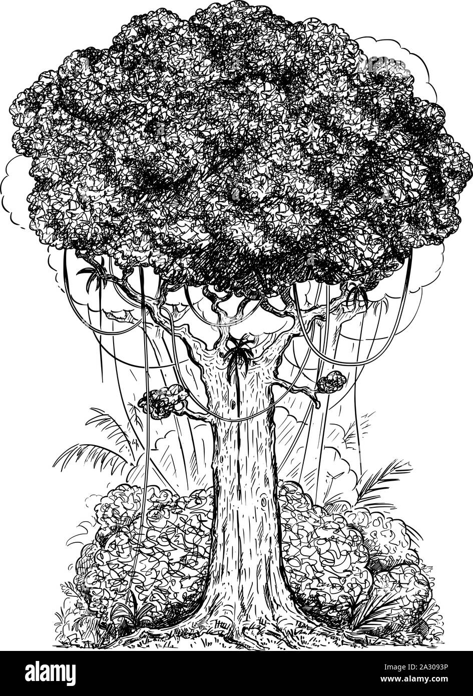 Vector de cartón pluma y tinta digital ilustración del árbol genérico y arbustos del bosque lluvioso. Ilustración del Vector
