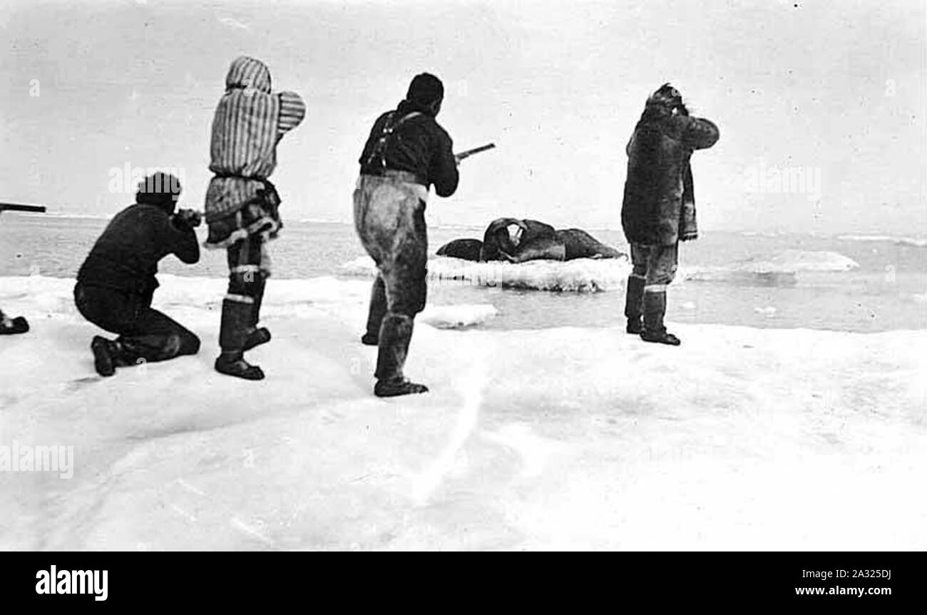 Esquimal hombres disparando a la morsa en la banquisa ubicación desconocida ca 1899 Foto de stock