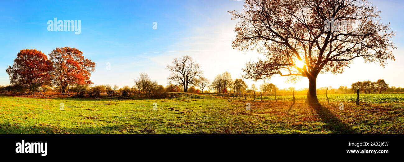 Panorama de un hermoso paisaje otoñal con los prados y los árboles al atardecer Foto de stock