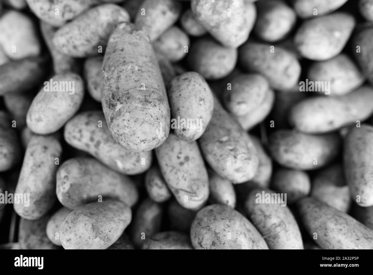 Disparo de fotograma completo de materias saludables patatas para la venta Foto de stock