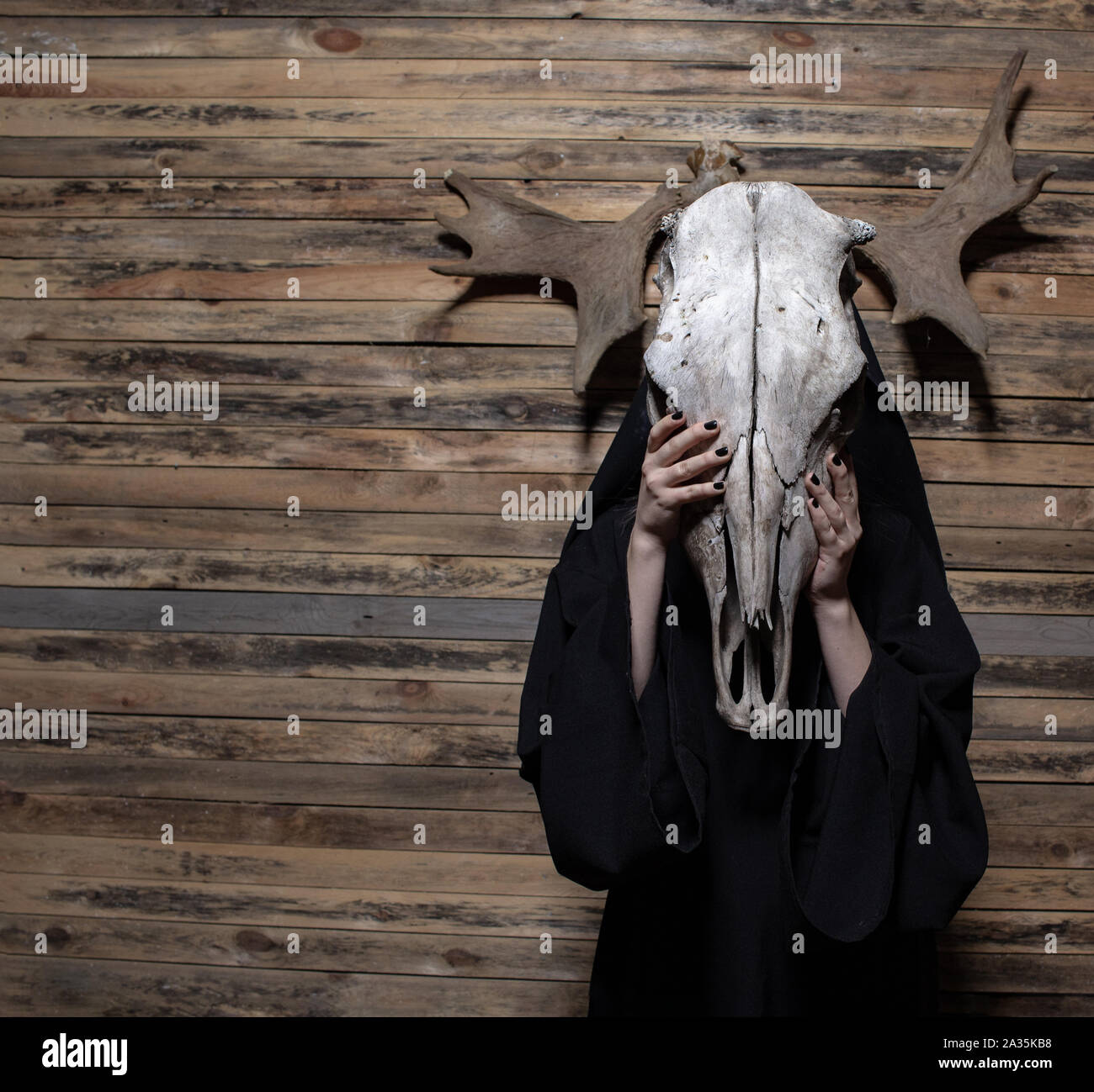 Bruja sosteniendo cráneo de animal parado sobre fondo de madera. Halloween, magia negra concepto ritual místico. Foto de stock