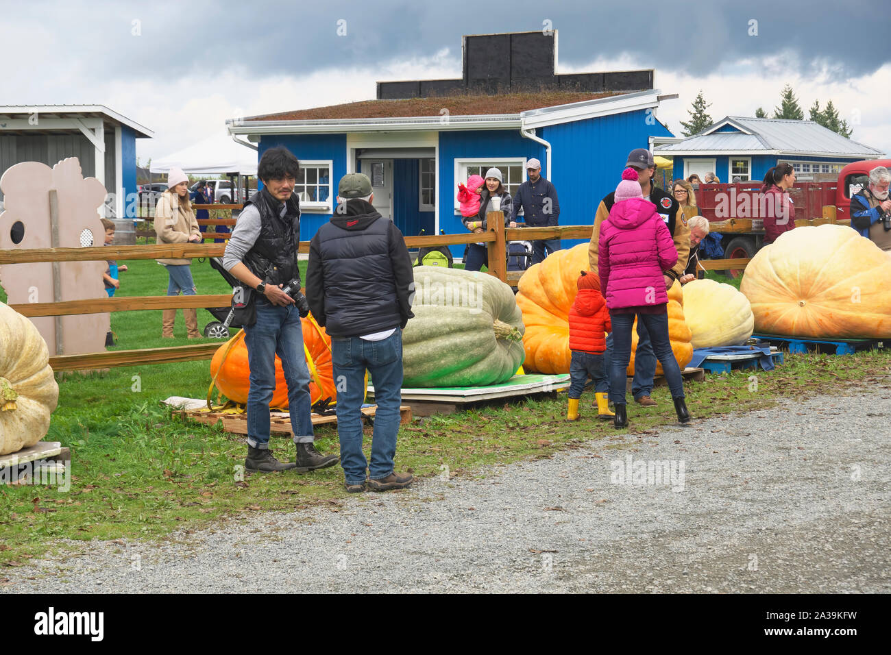 Calabaza gigante pesan, Langley, B. C., Canadá. Octubre 5, 2019. Las personas mirando las calabazas gigantes. Foto de stock