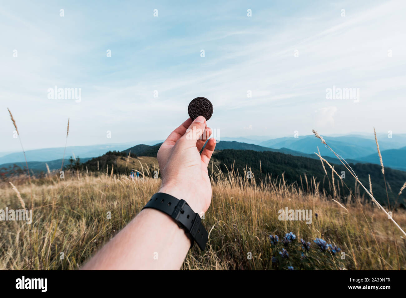 Vista recortada de man holding Sweet cookie en el campo cerca de las montañas Foto de stock