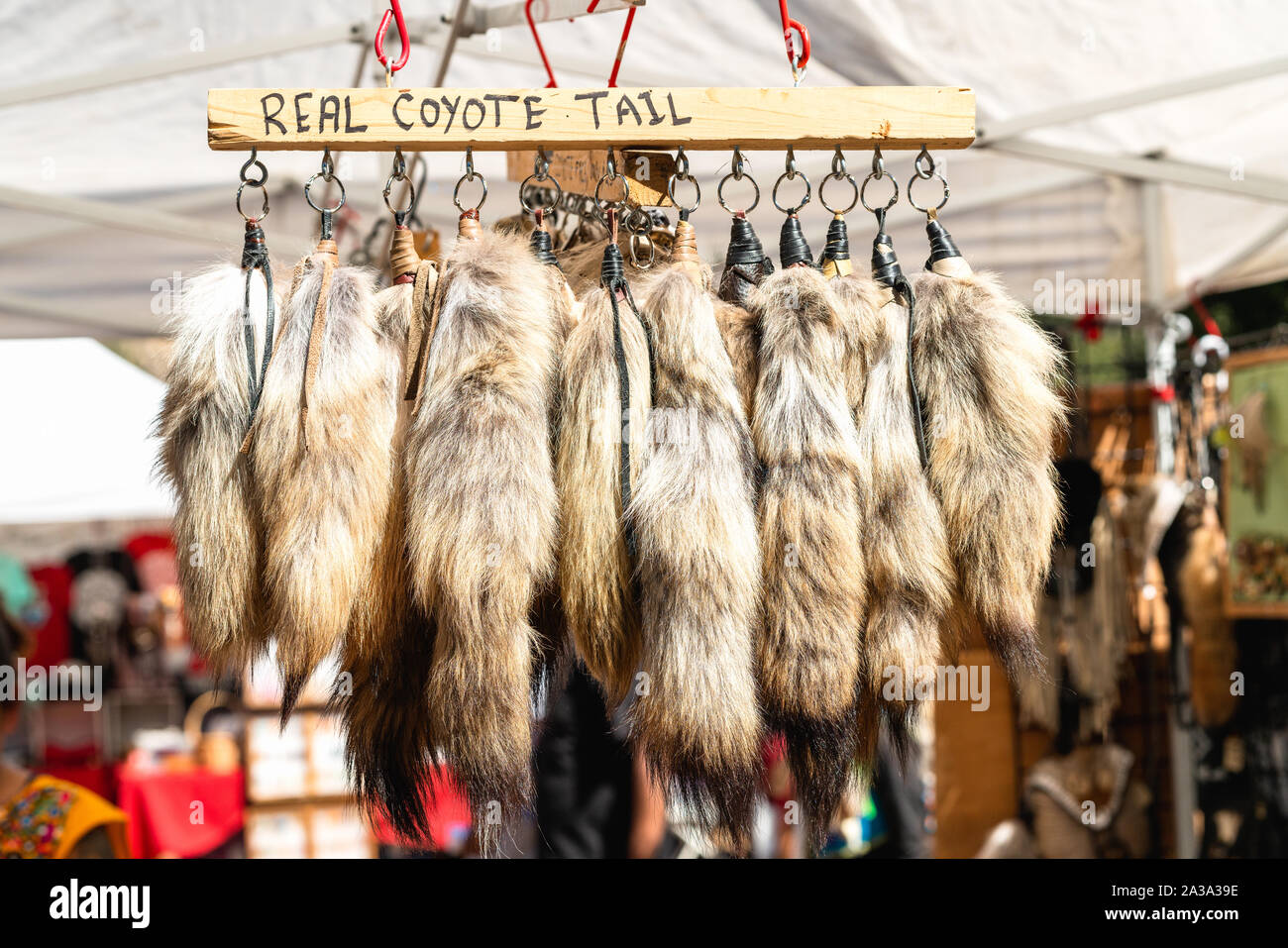 Santa Ynez Chumash Inter-Tribal Pow Wow. Ropa americana nativa tradicional  decoración. Coyote real cola Fotografía de stock - Alamy