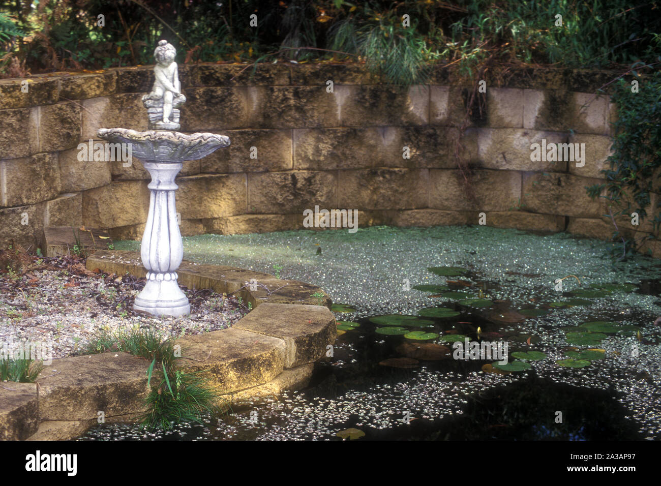 Pequeño estanque de jardín fotografías e imágenes de alta resolución - Alamy