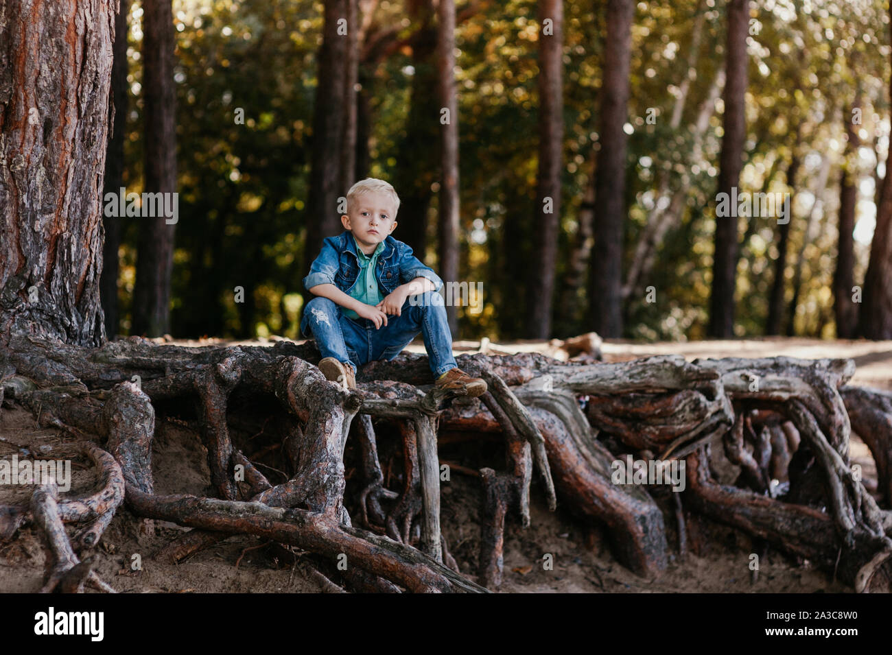 Retrato de un pequeño y lindo niño de 3 años al aire libre en el parque de otoño Foto de stock