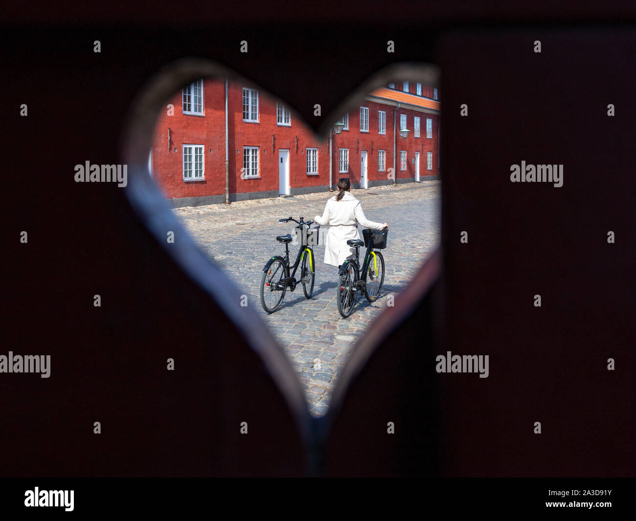 Frau oder Freundin schiebt 2 ausgeliehene Fahrrräder durch eine skandinavische Stadt Foto de stock
