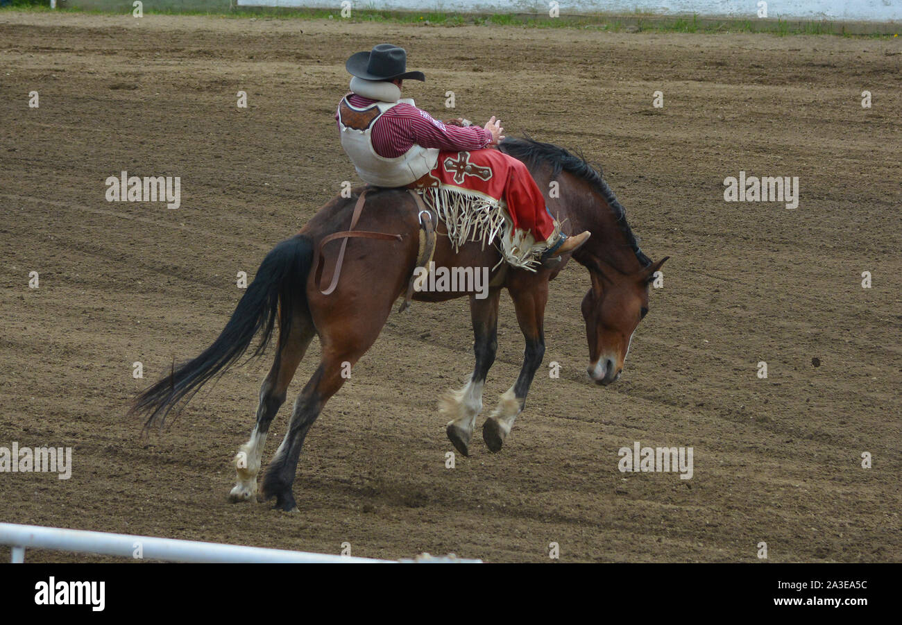 Bronco-busting Cowboy en Rodeo Foto de stock