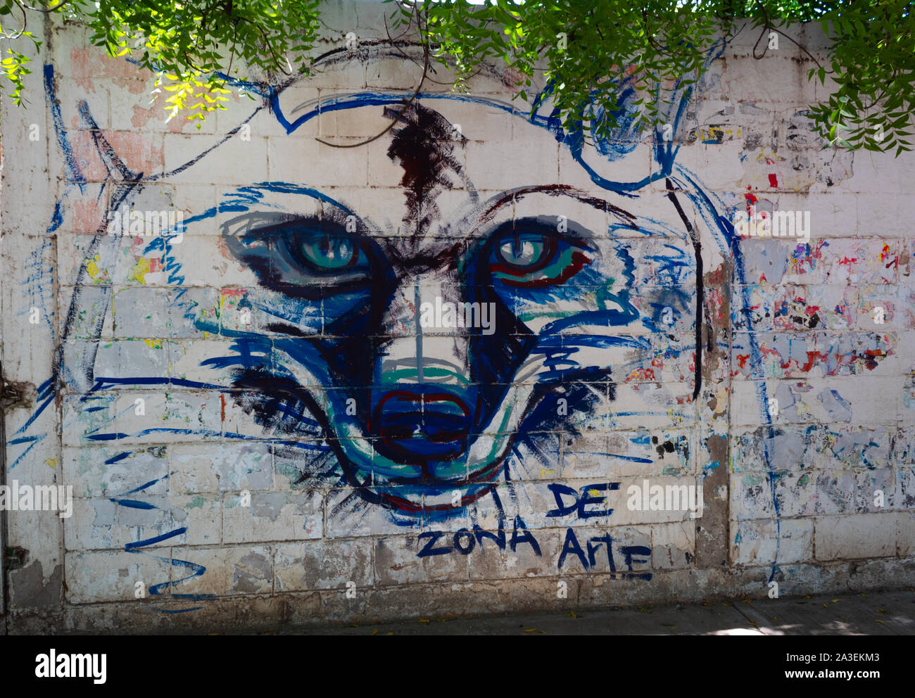 Culiacán, Sinaloa, México - Octubre 2019: graffiti ilustración de un lobo  en una pared de ladrillo blanco Fotografía de stock - Alamy