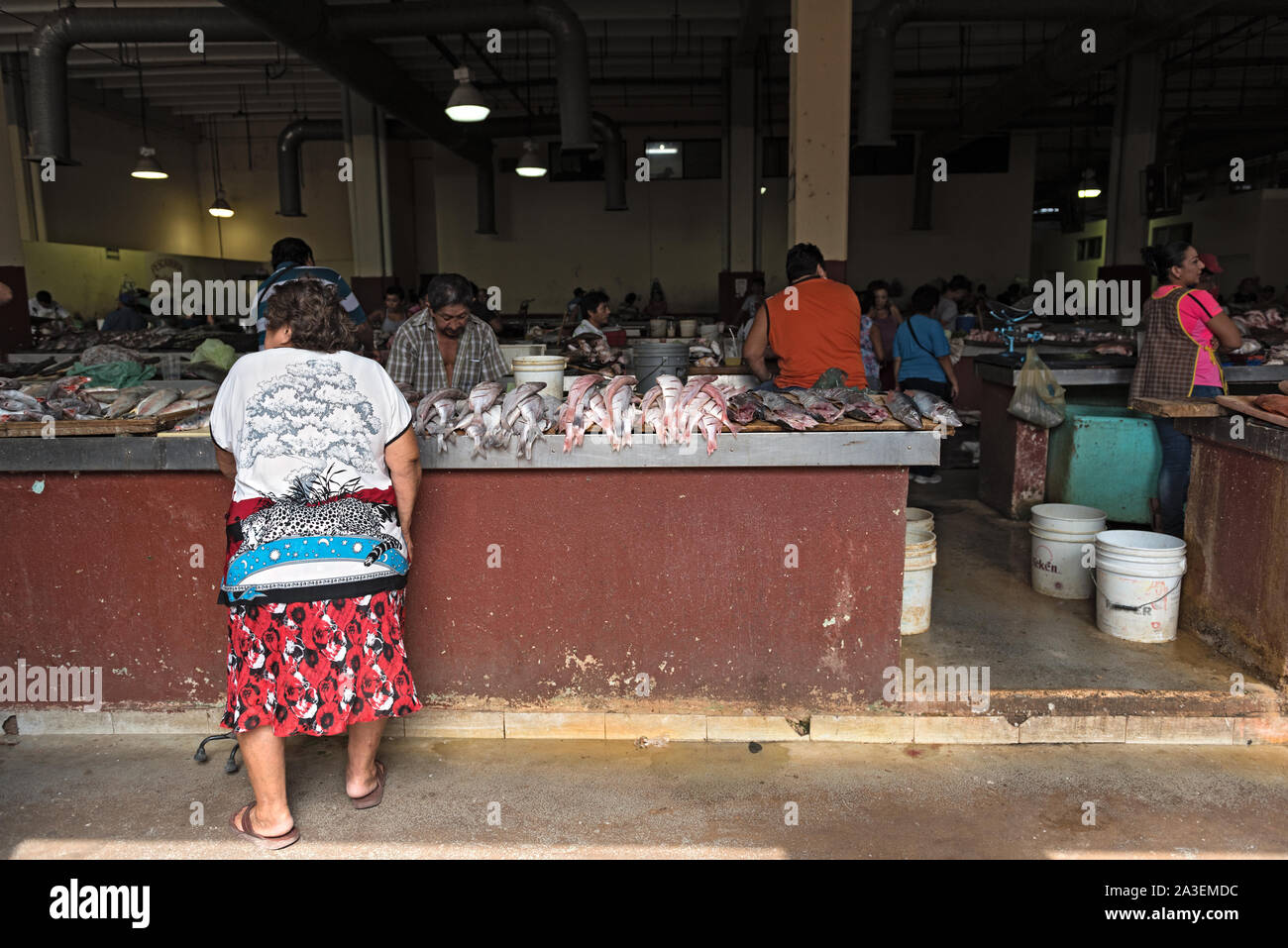 Puestos de pescado en el mercado central de Campeche México Foto de stock