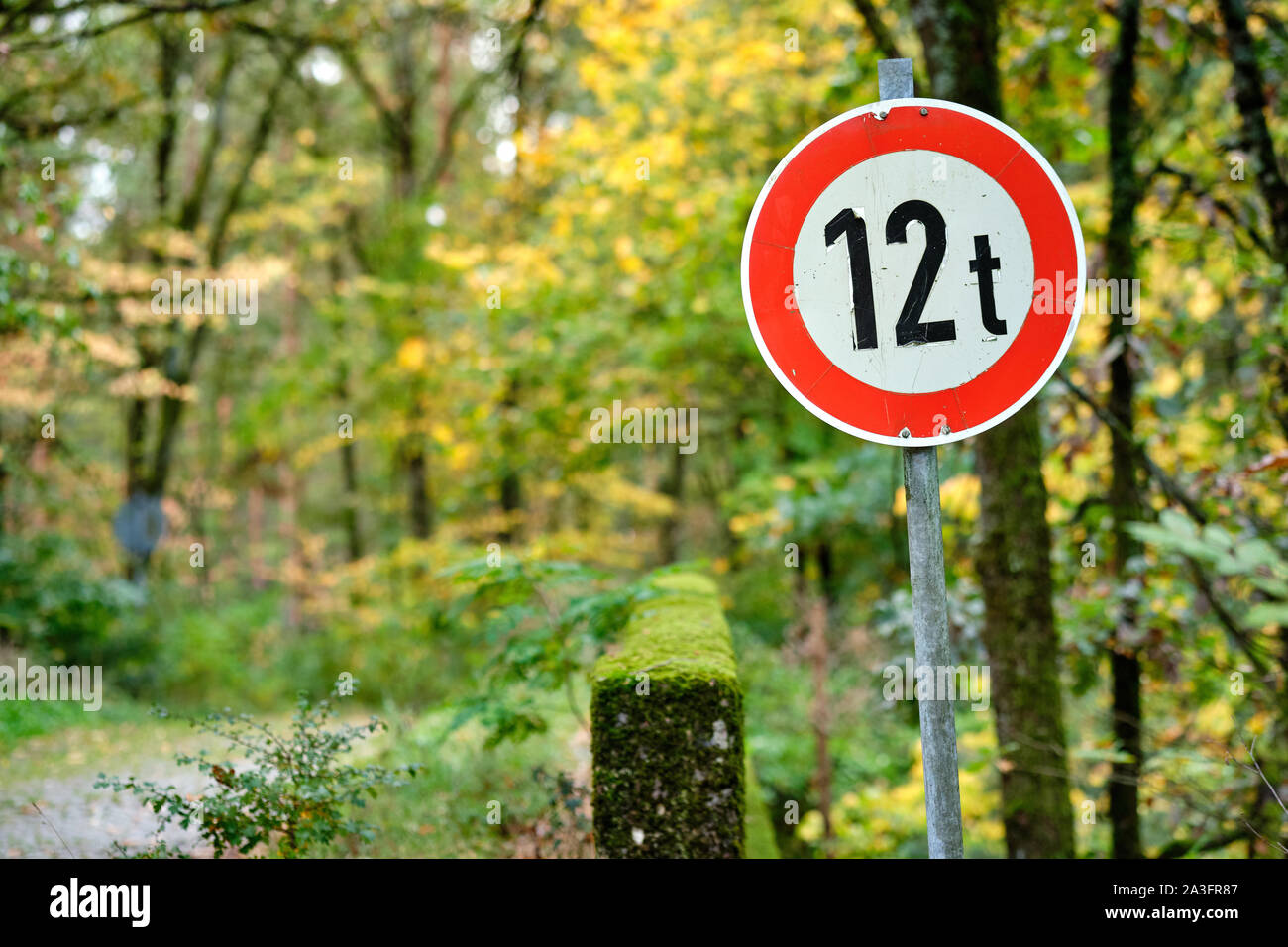 Un viejo bridgewith un cartel informándole sobre un límite de peso de 12 t en un idílico bosque de otoño en Baviera, Alemania, en octubre Foto de stock