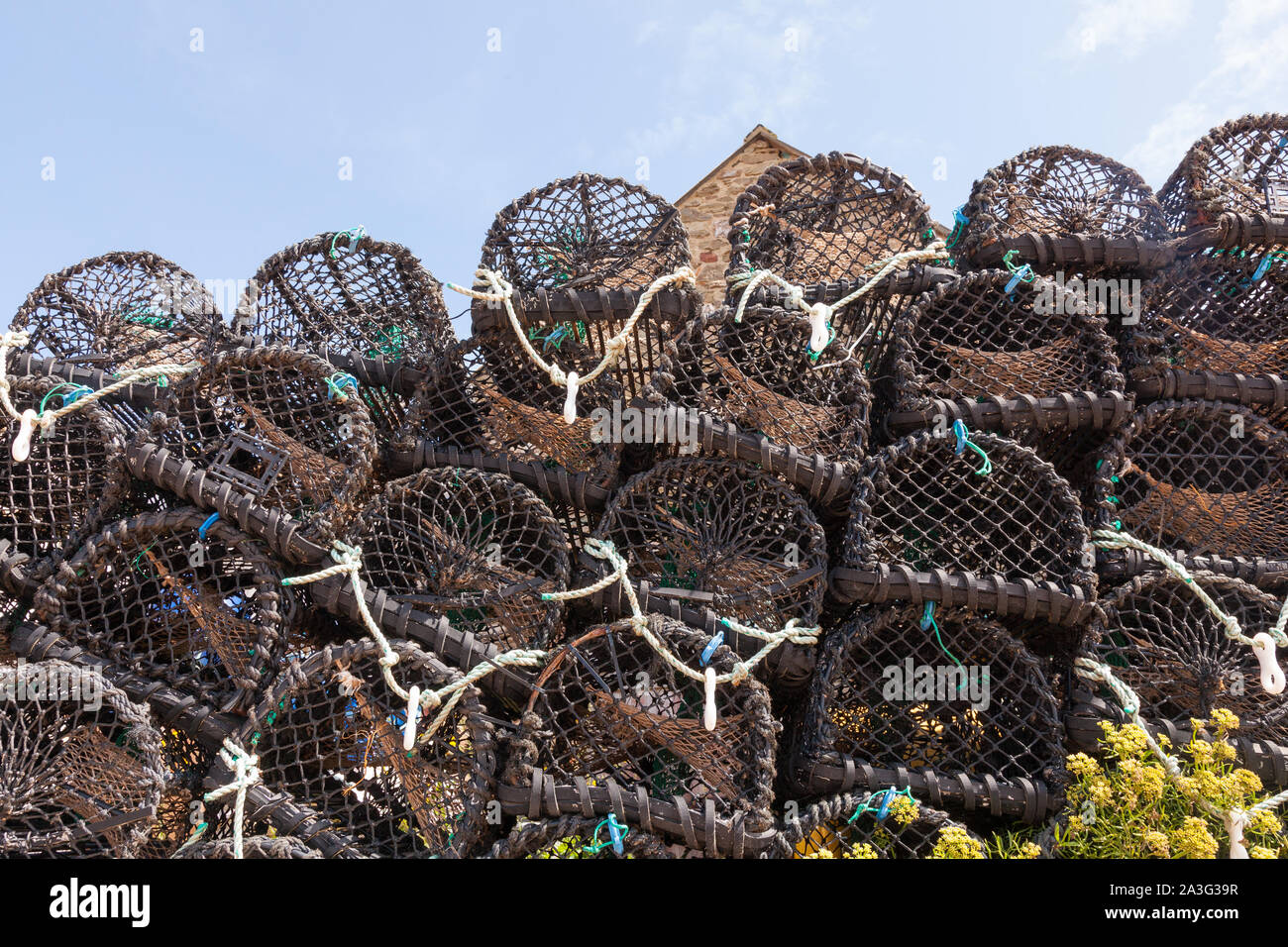 Ollas de langosta o trampas en Hope Cove, Kingsbridge, Devon, Inglaterra, Reino Unido. Foto de stock