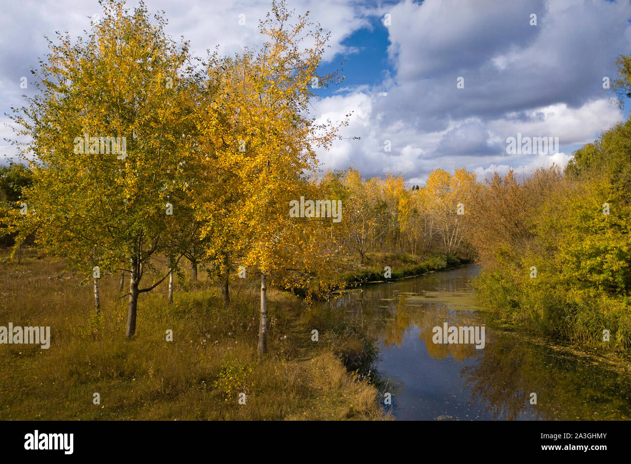 Vista aérea de río de otoño con árboles amarillo Foto de stock