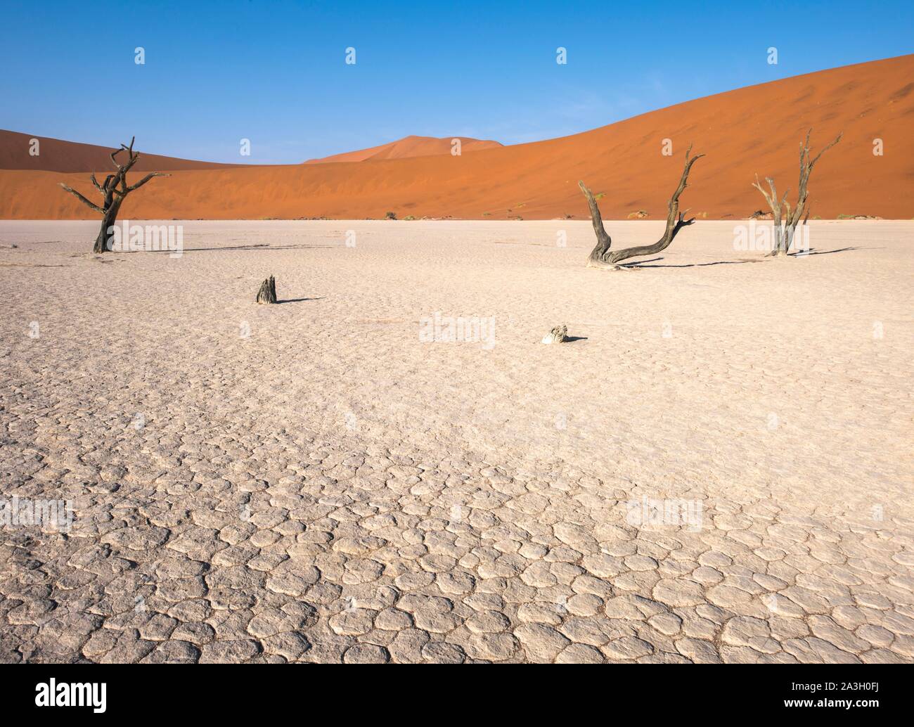 Namibia, Hardap provincia, Parque Nacional Namib-Naukluft Deadvlei Foto de stock