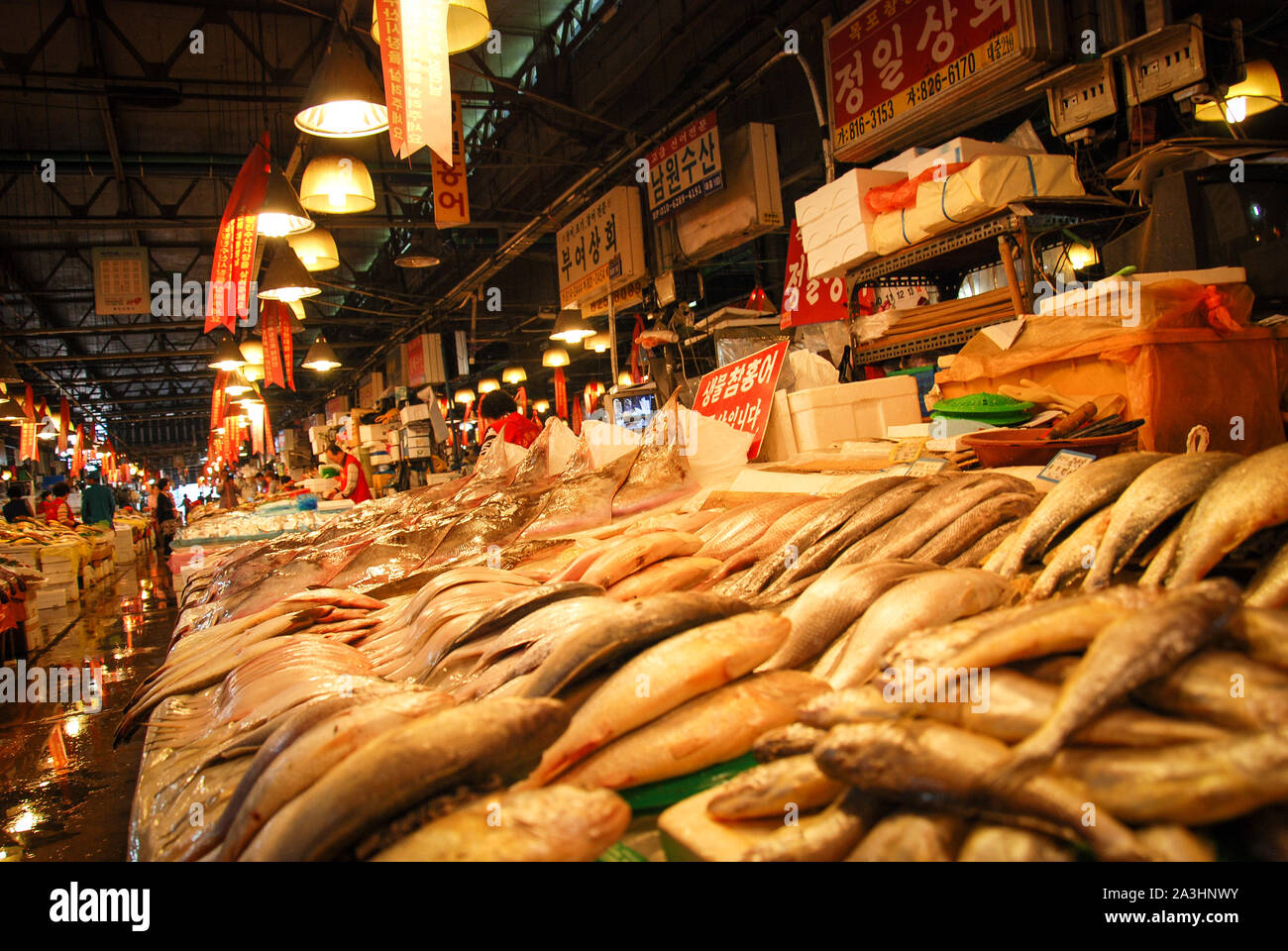 Noryangjin Mercado Mayorista Pesquero Foto de stock