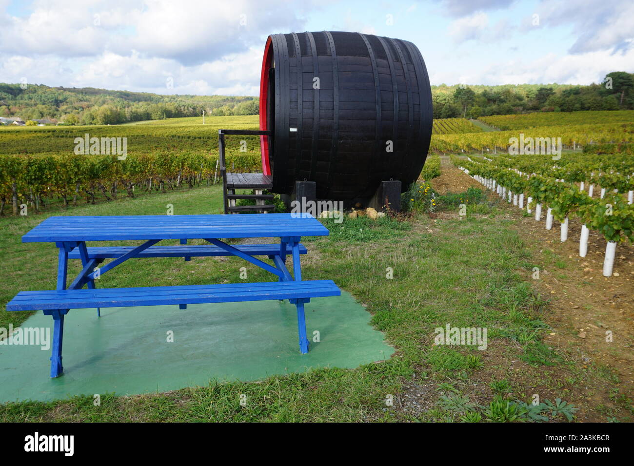 Enorme tonel de vino de madera utilizados para sombra o protección en el picnic en los viñedos del Valle del Loira, Francia Foto de stock