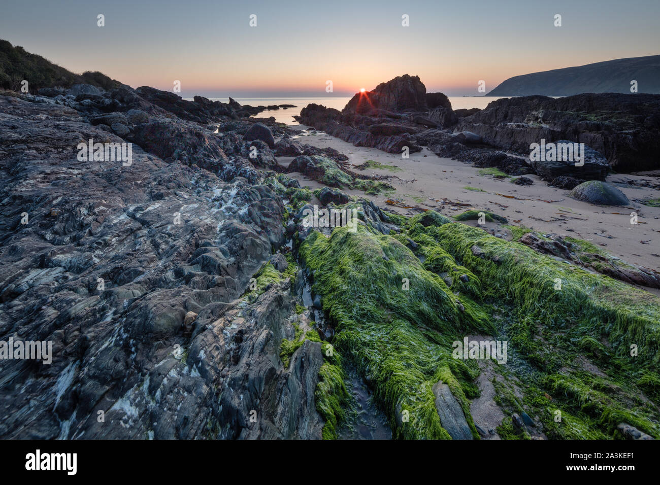 Piedras incrustadas con algas y líquenes en la playa en la Bahía de Kinnagoe al amanecer, península Inishowen, Co Donegal, Irlanda Foto de stock