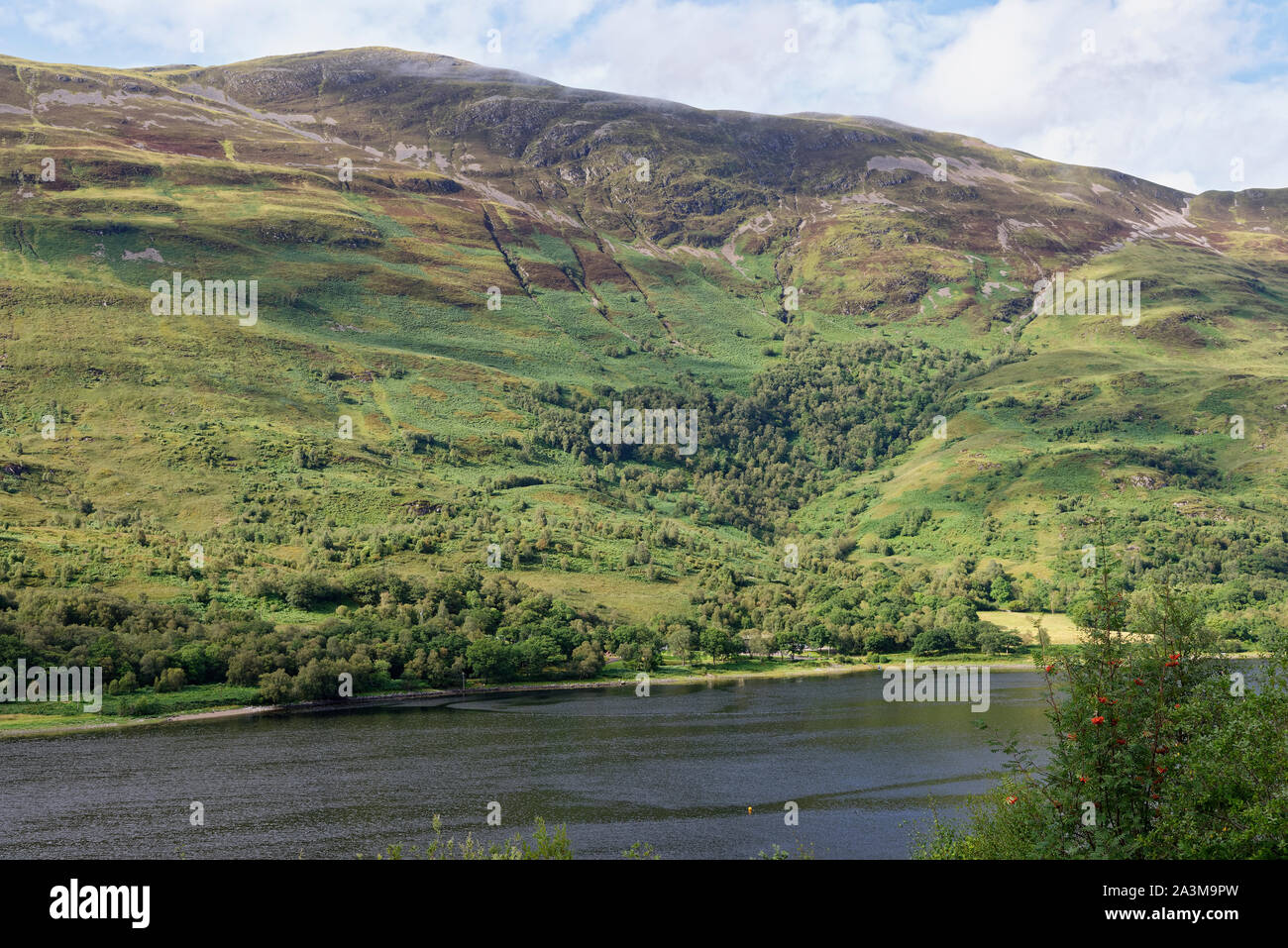 Mam na Gualainn (796M) con Teanga na h-Earba visto desde el lado sur del Loch Leven Foto de stock