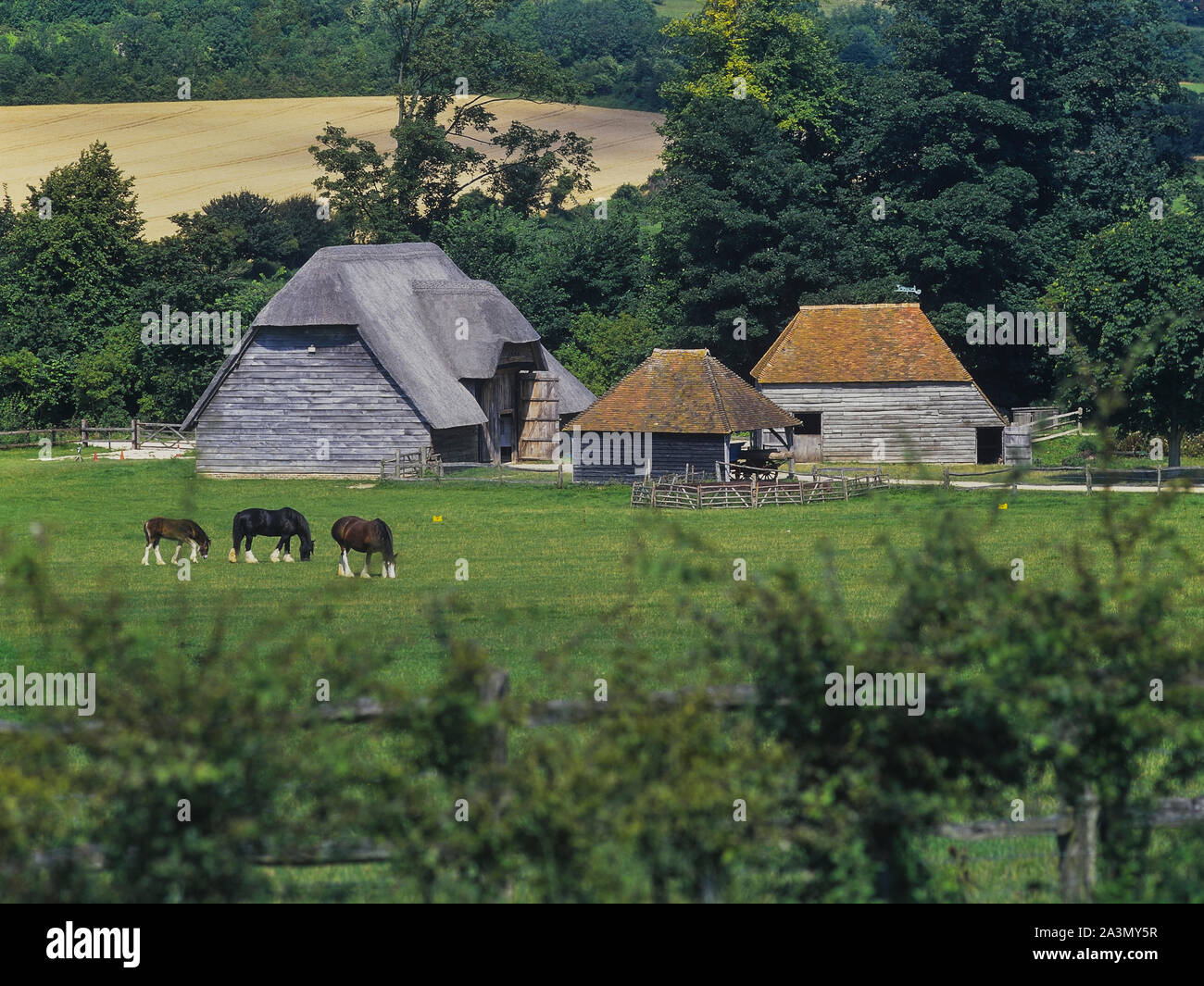 Corte el granero de lee-on-Solent, lugar para el rodaje de la serie de la BBC del taller de reparaciones, Weald y cerros museo viviente. Los South Downs. West Sussex. Inglaterra. Foto de stock