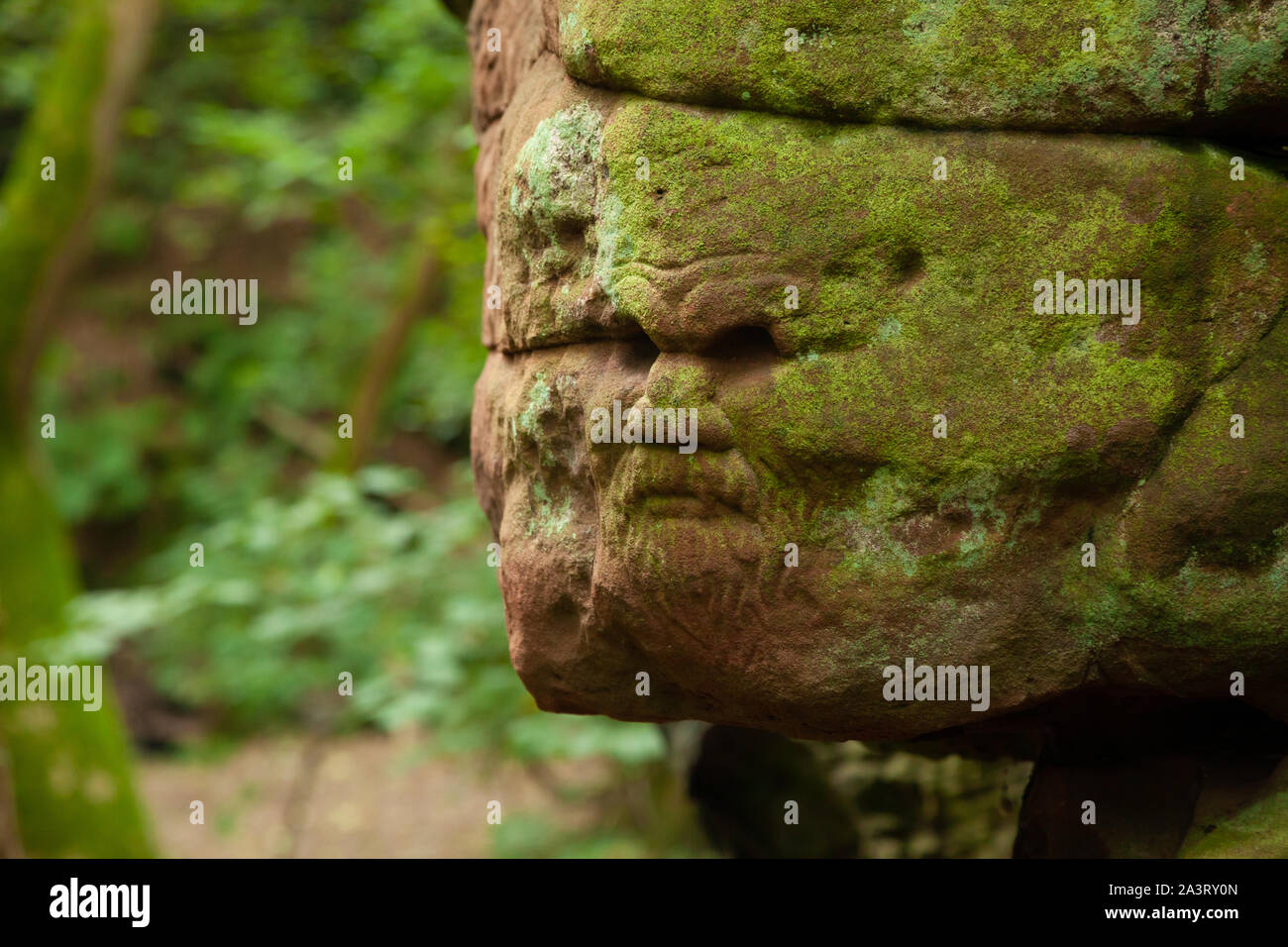 Cara de un hombre tallados en piedra, Den, Dunino Dunino, Saint Andrews, Fife, Escocia Foto de stock