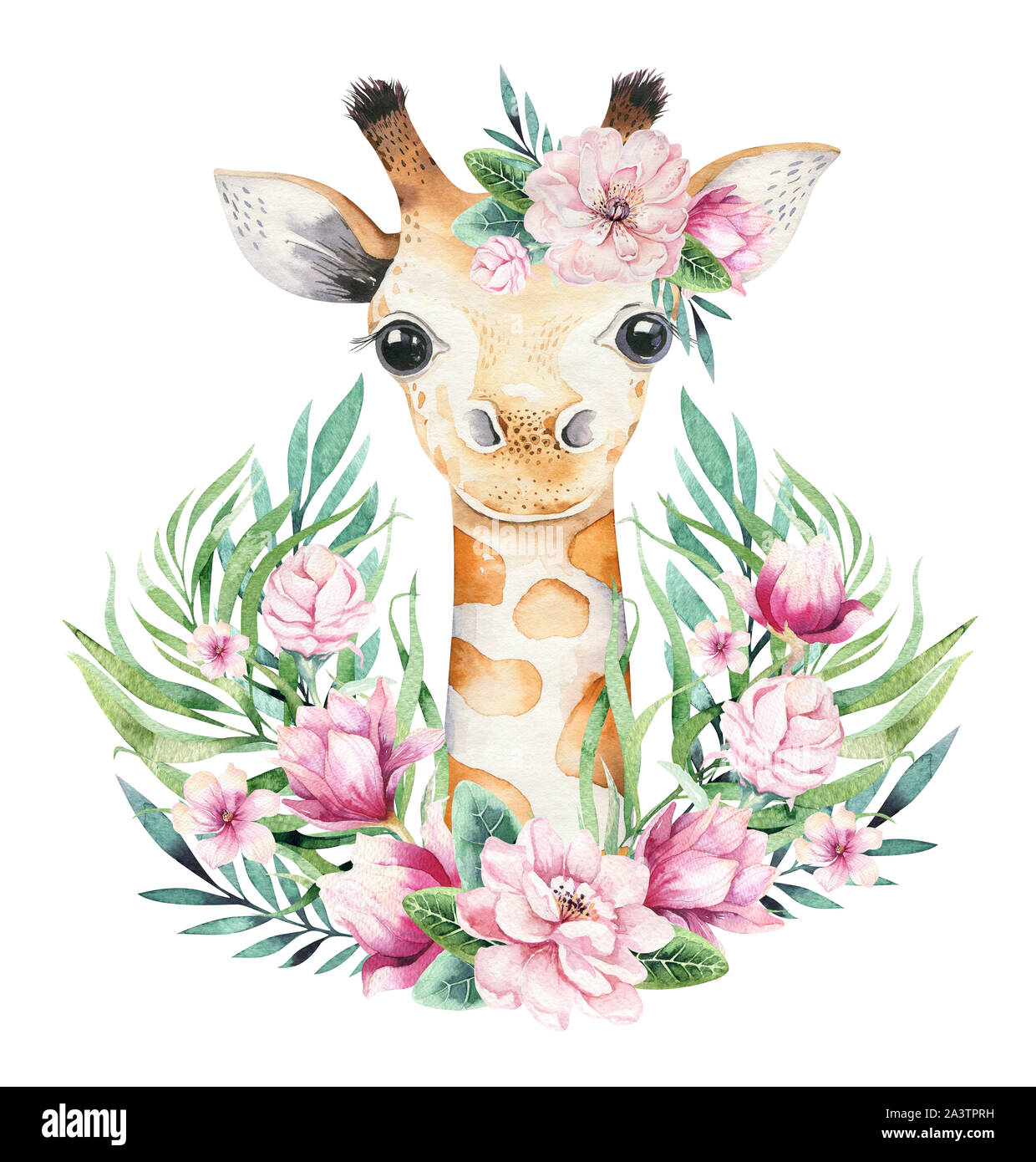Giraffe watercolor fotografías e imágenes de alta resolución - Alamy