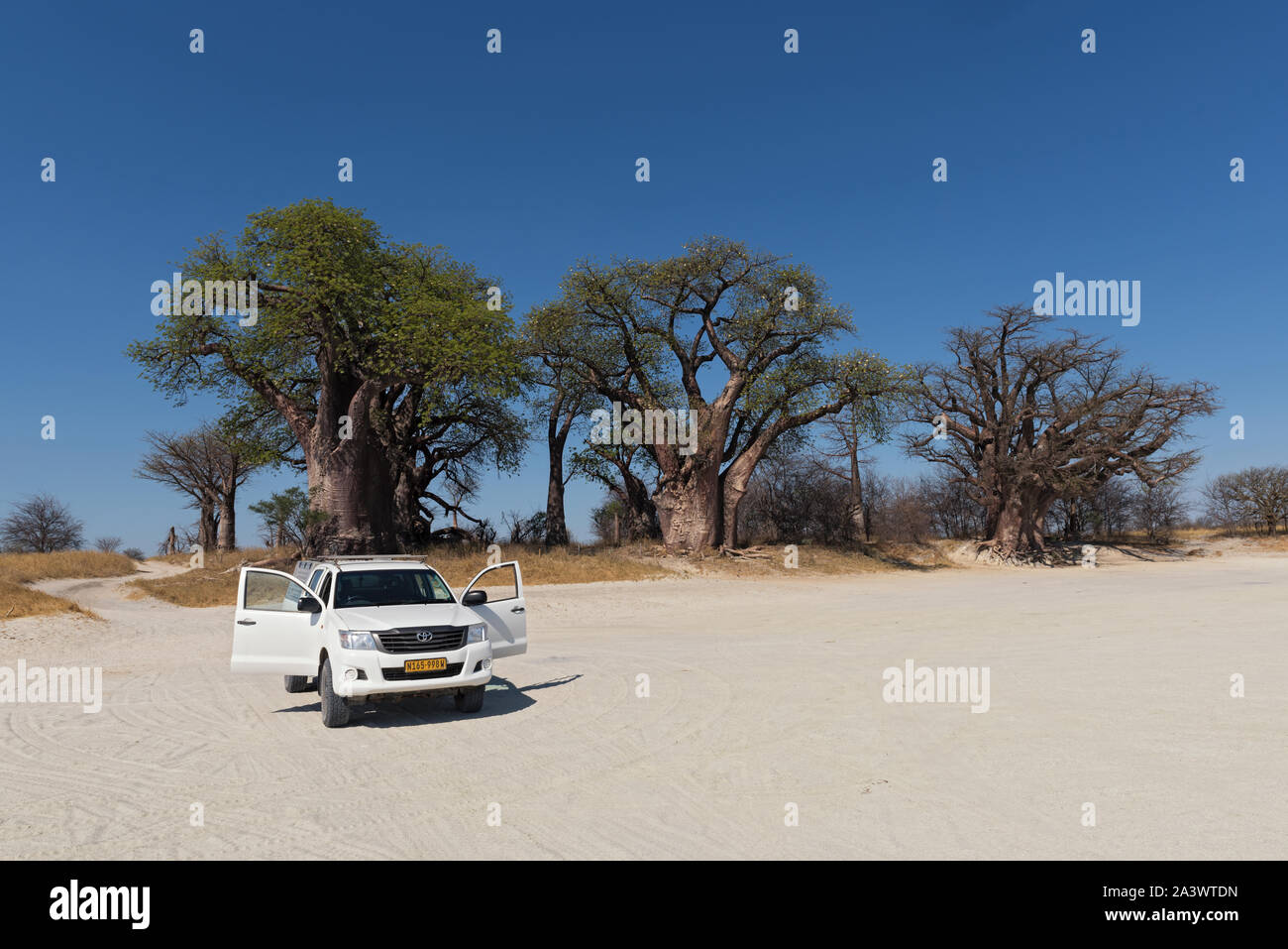Coche aparcado delante de la baines baobab parque nacional de nxai pan botswana Foto de stock