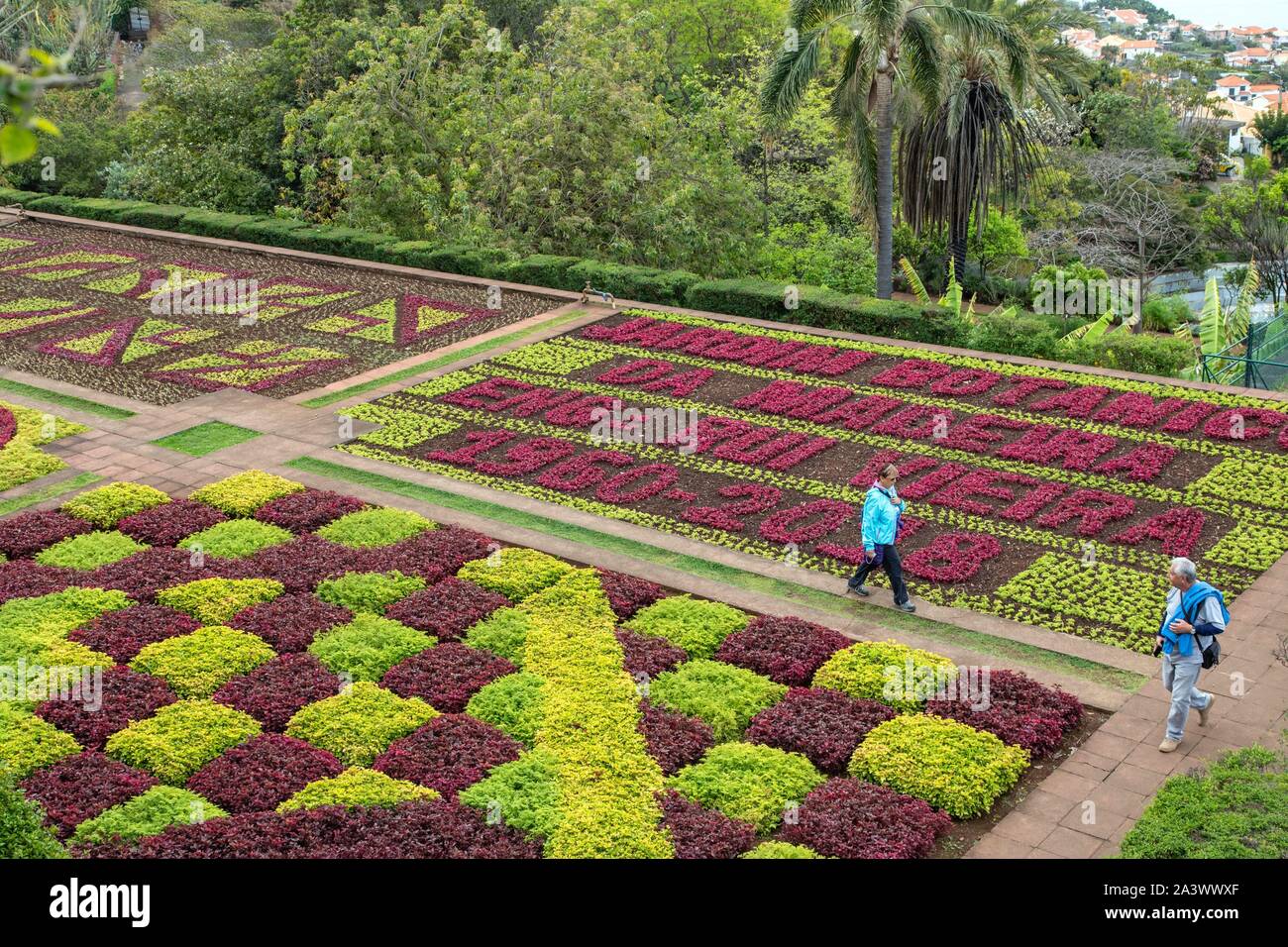 Huerto, formas geométricas, Jardín Botánico de Madeira, Funchal, isla de Madeira, Portugal Foto de stock