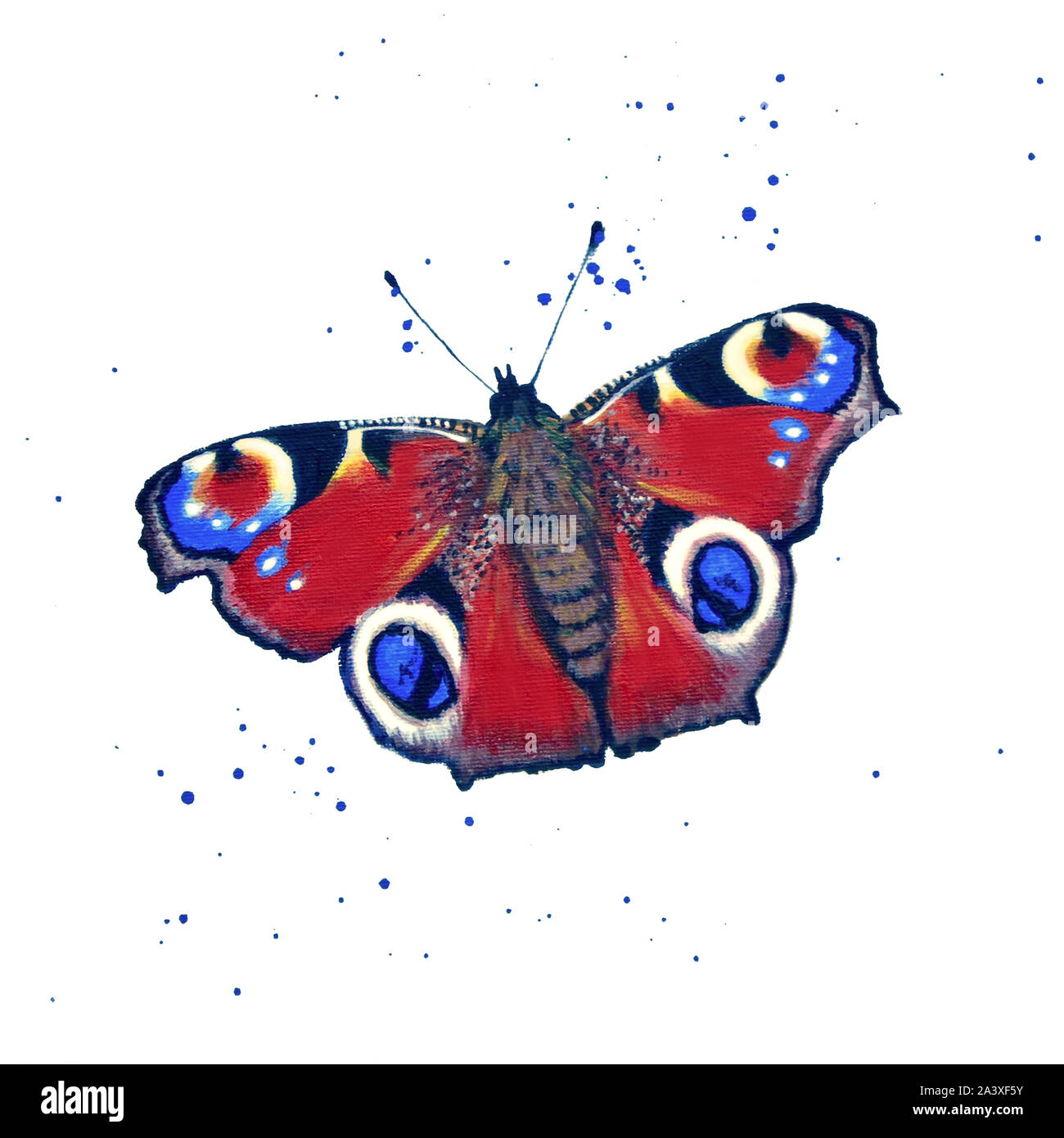 pintura de una mariposa de pavo real Foto de stock