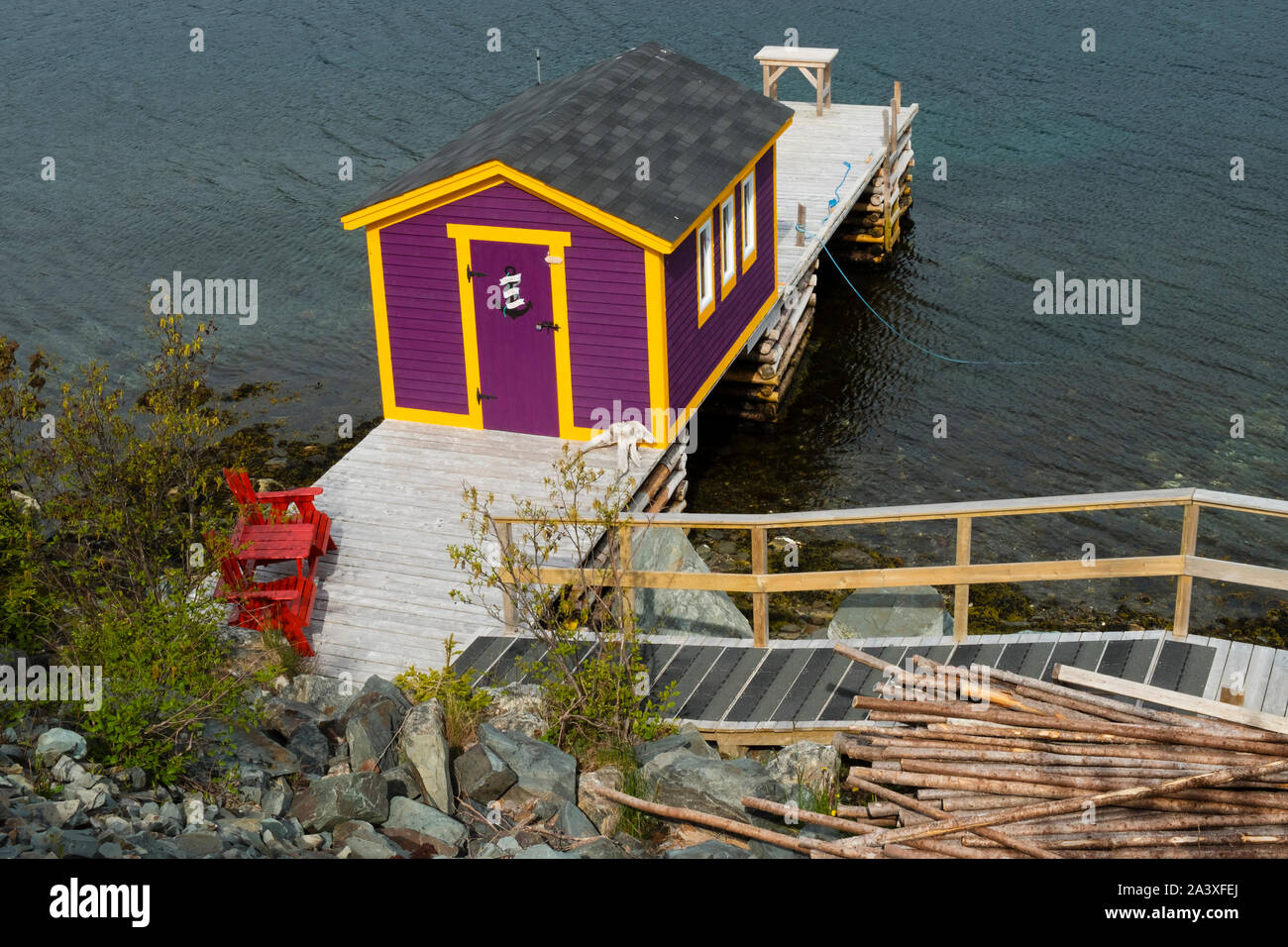 Púrpura brillante etapa de pesca en Nueva Perlican, Terranova Foto de stock