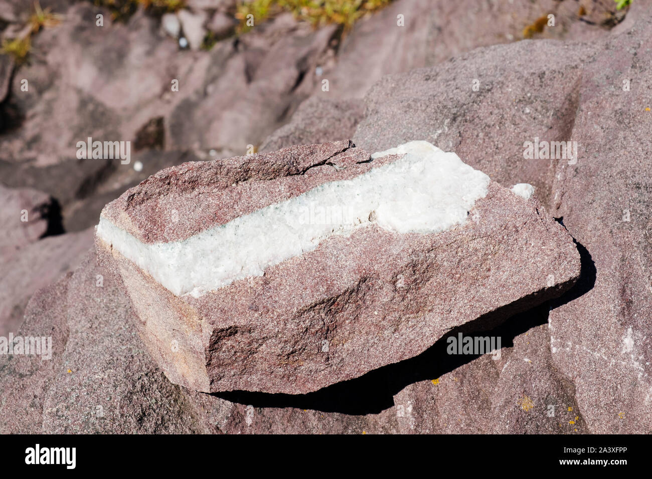 Veta de cuarzo en roca en Nueva Perlican, Terranova Foto de stock