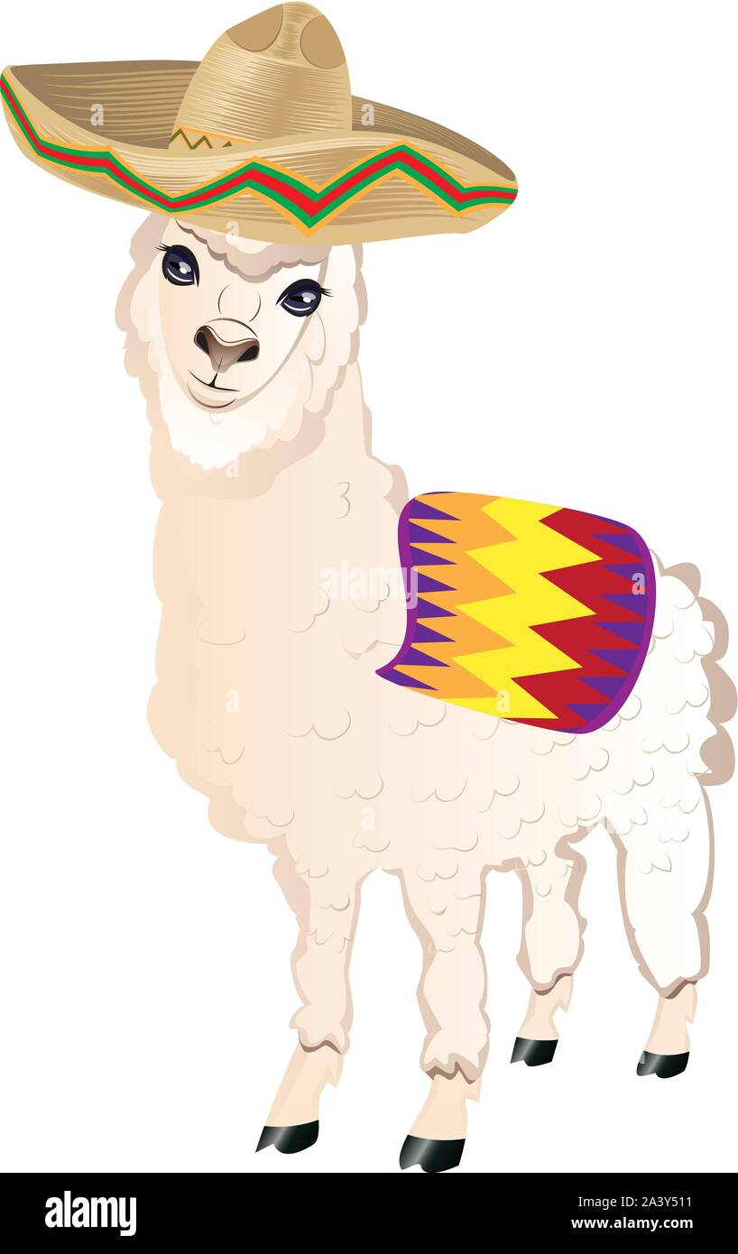Llama o alpaca viste sombrero hat caricatura ilustración animal Imagen  Vector de stock - Alamy