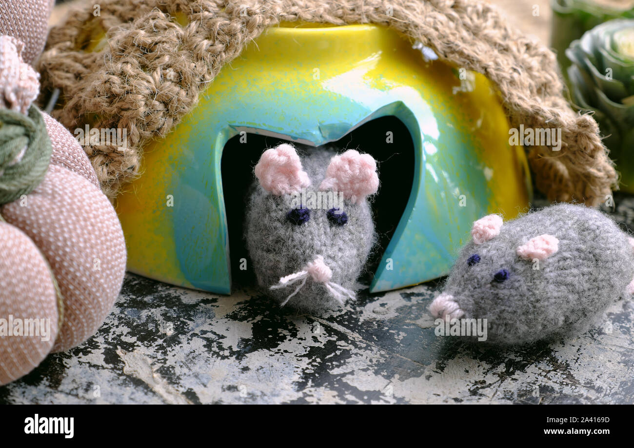 Cueva de ratas fotografías e imágenes de alta resolución - Alamy