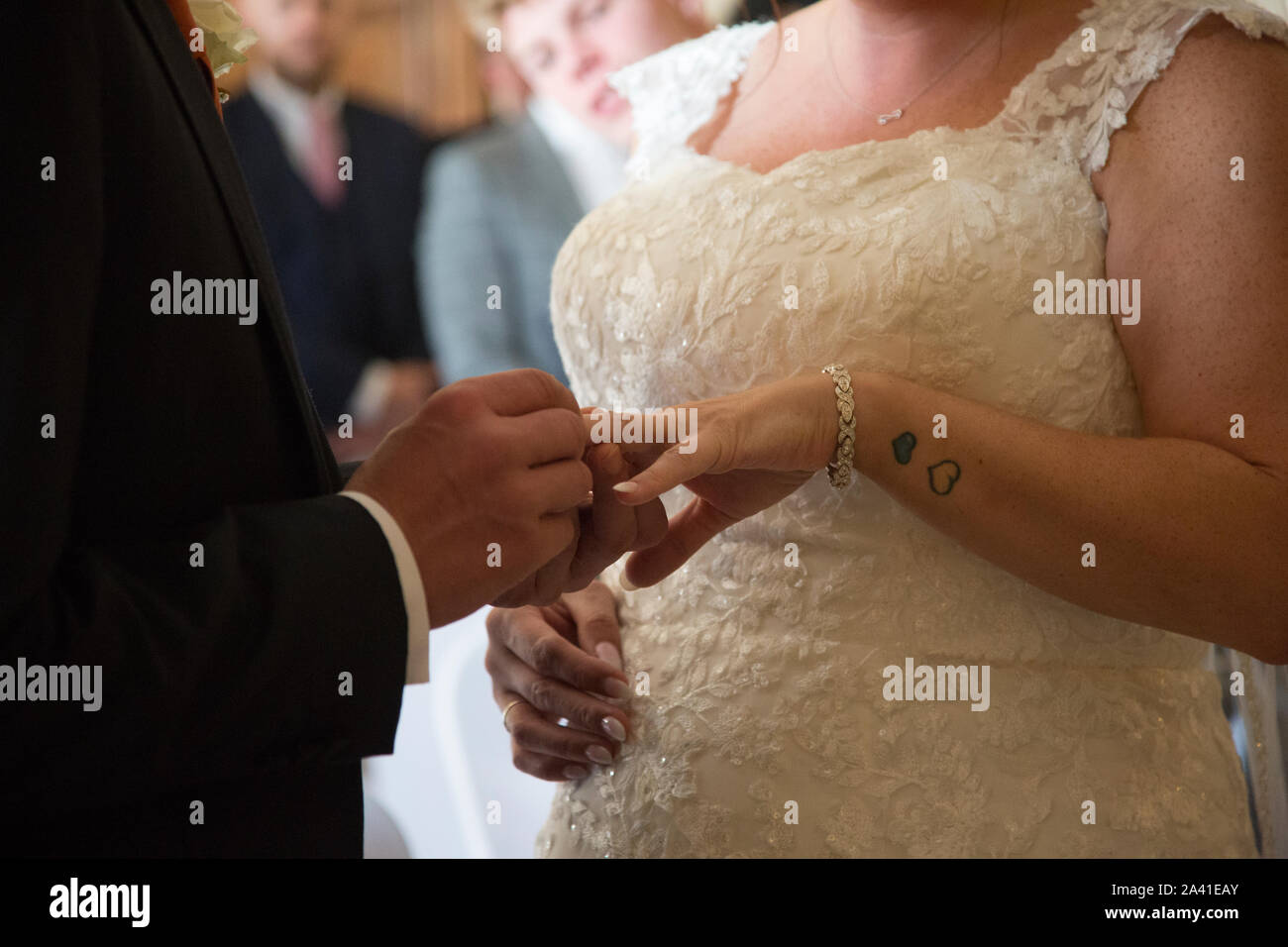 La novia y el novio cerca de sus manos, como el intercambio de anillos en  el día de su boda, sin caras se ve en esta imagen, el día de la boda