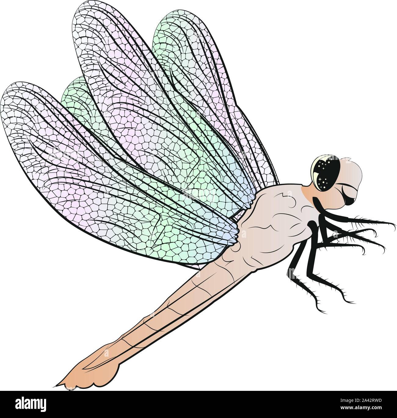 Ilustración Digital de libélulas, Cute dibujos animados diseño de insectos  Imagen Vector de stock - Alamy