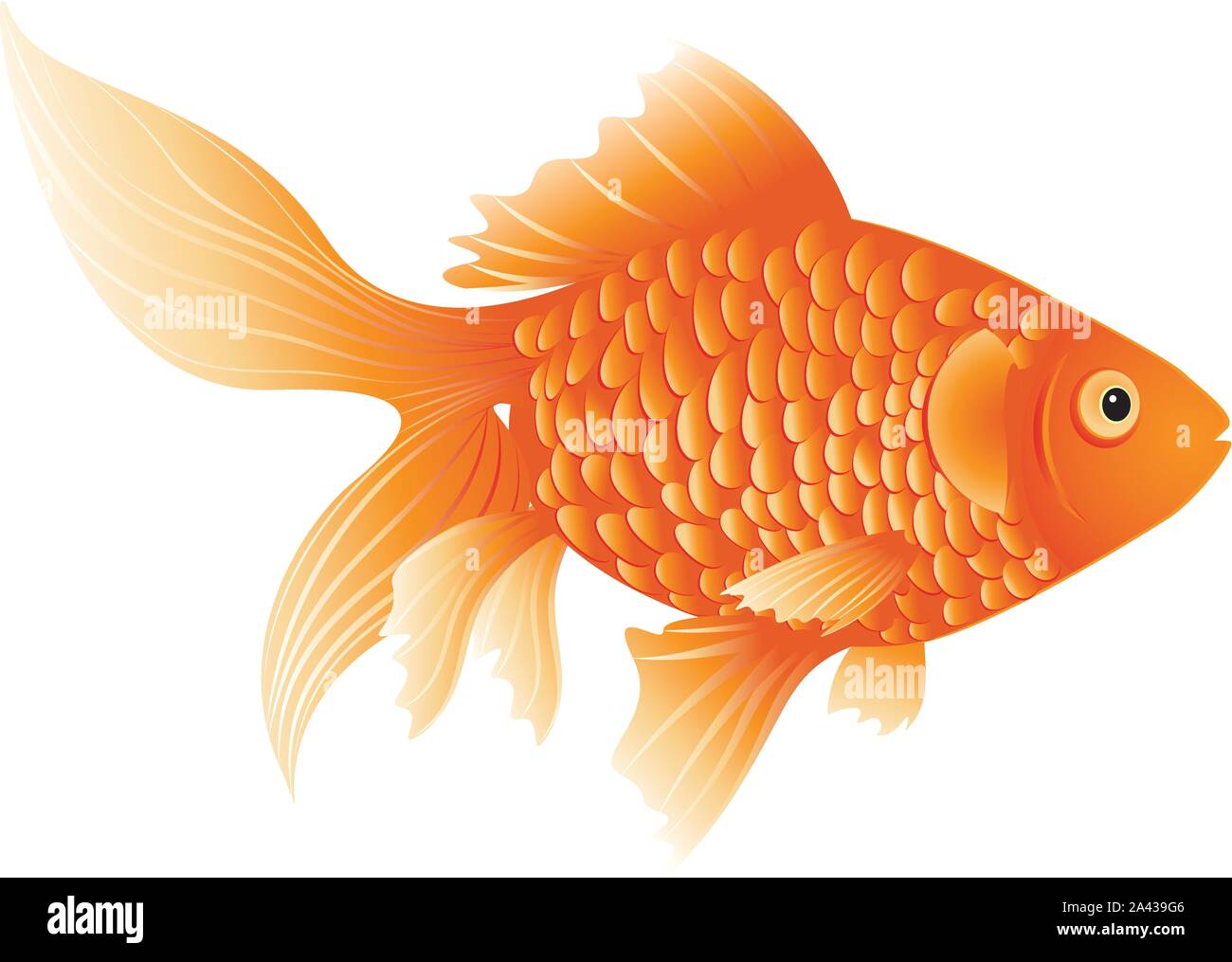 Pez dorado de dibujos animados fotografías e imágenes de alta resolución - Página 5 - Alamy Pez dorado de dibujos animados fotografías e imágenes de alta resolución - Página 5 - Alamy