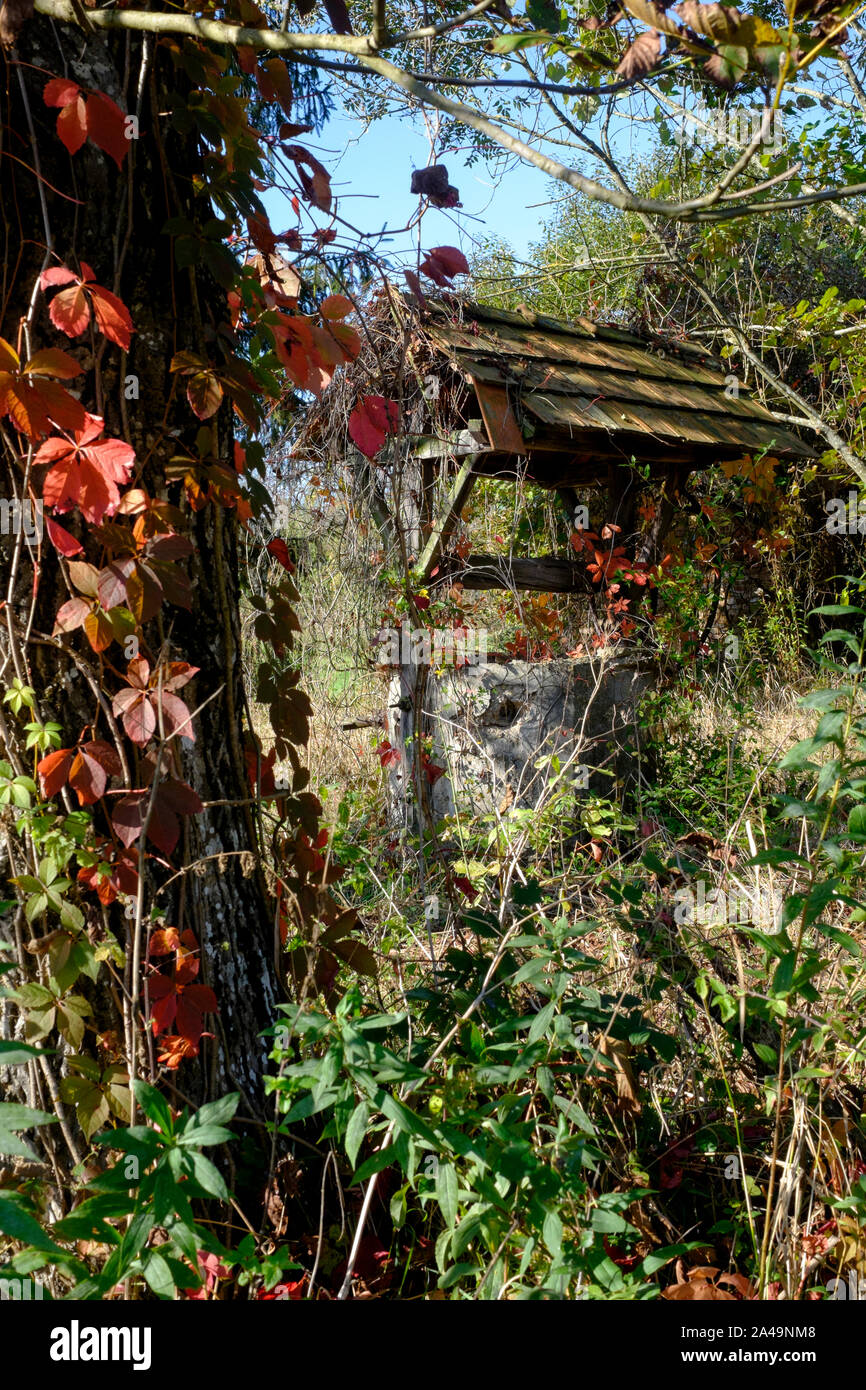Antiguo pozo de agua tradicionales abandonados que se encuentran aisladas en un área grande de tierra en el medio rural rodeado de otoño rojo hojas de vid hungría Foto de stock