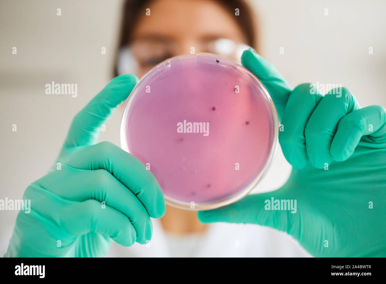 Cierre de ángulo bajo de mujer sosteniendo petri mientras trabaja en la investigación de laboratorio médico, espacio de copia Foto de stock