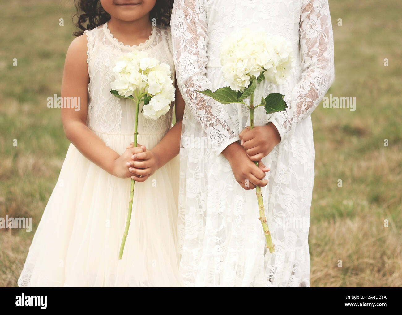 Dos niñas en vestidos vintage celebración hortensia flores, Estados Unidos  Fotografía de stock - Alamy