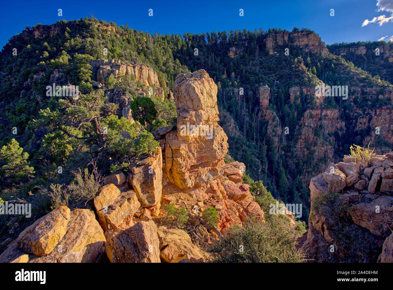 Captain's Rock, South Rim, Grand Canyon, en Arizona, Estados Unidos Foto de stock