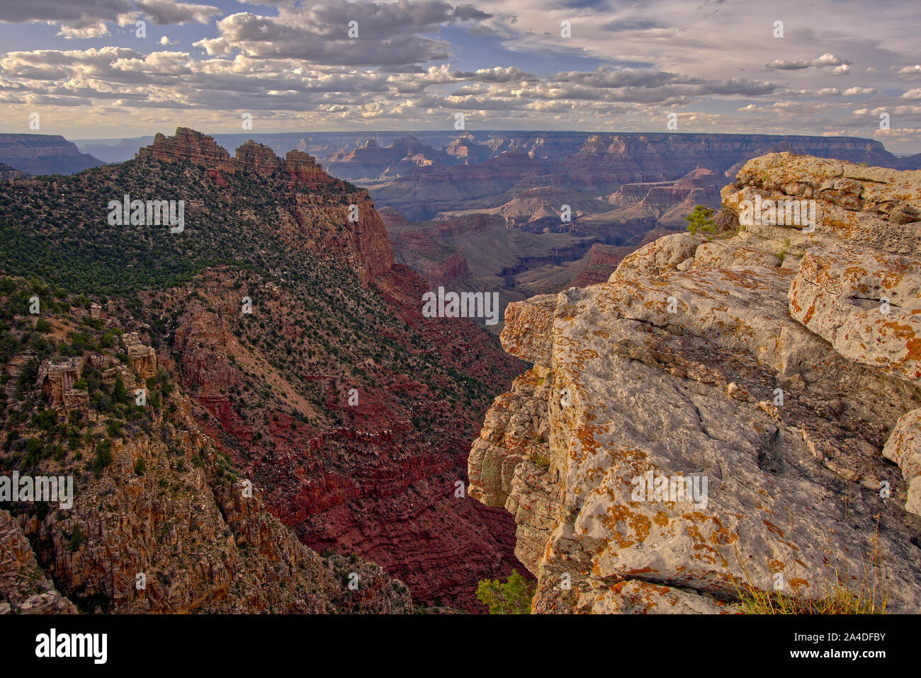 Canyon View desde East Buggeln Hill, South Rim, Grand Canyon, en Arizona, Estados Unidos Foto de stock